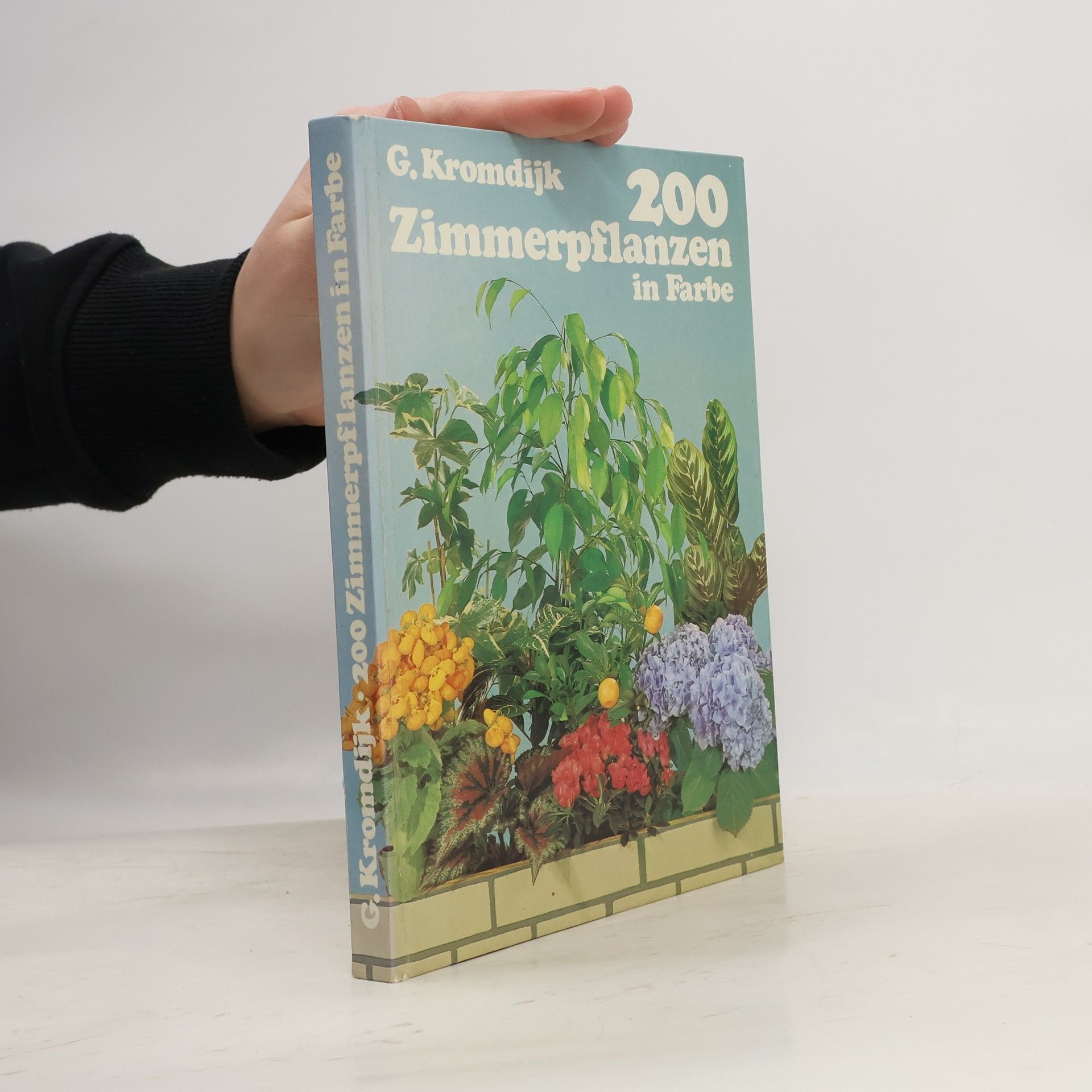 G. Kromdijk 200 Zimmerpflanzen in Farbe