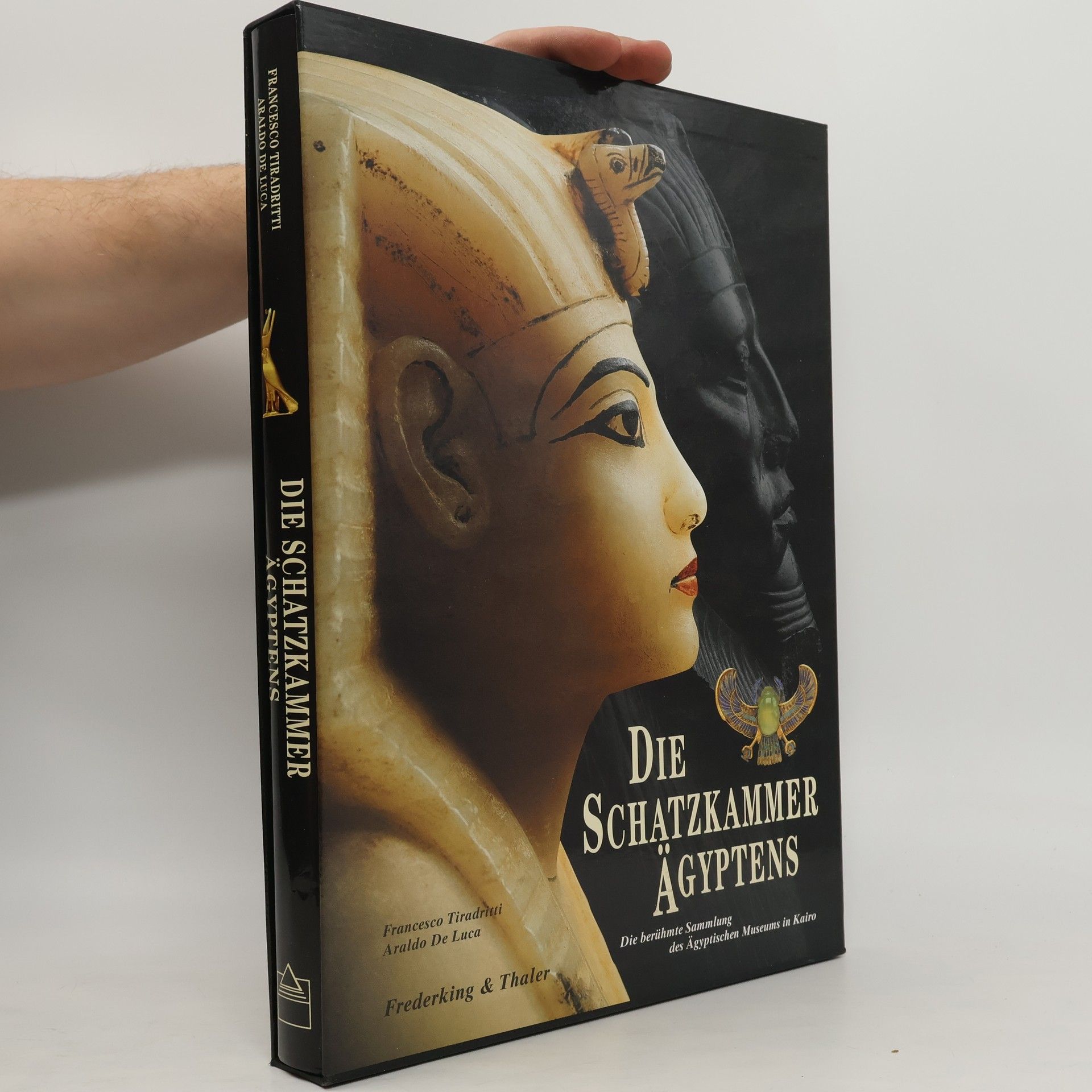 Araldo De Luca Die Schatzkammer Ägyptens