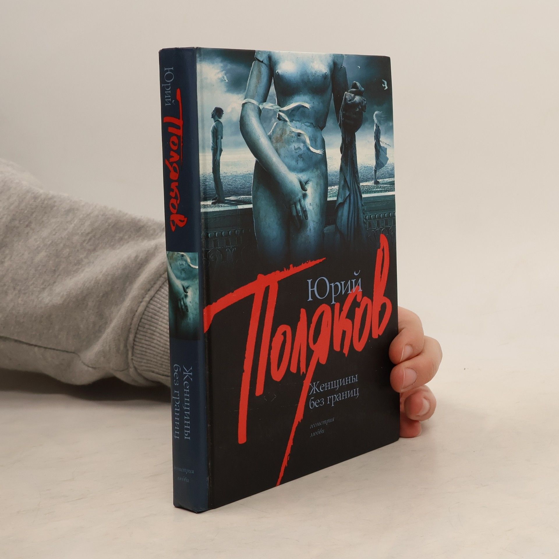 Юрий Михайлович Поляков Геометрия любви: Женщины без границ