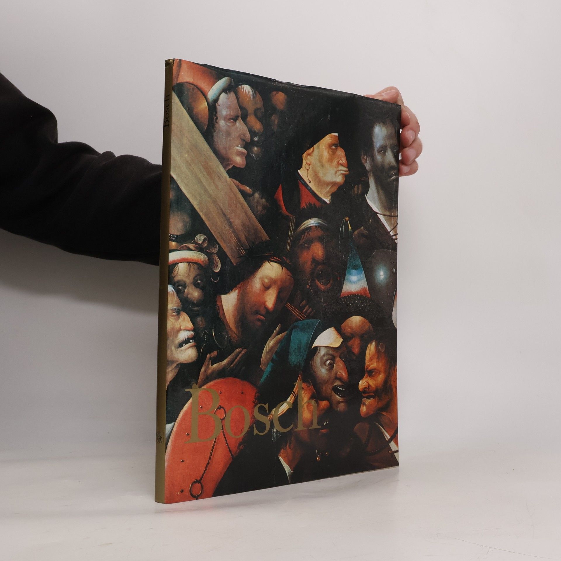 Dino Buzzati Bosch : [souborné malířské dílo]