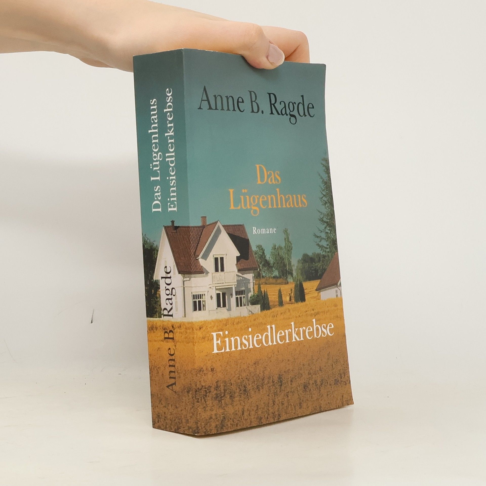 Anne B. Ragde Das Lügenhaus