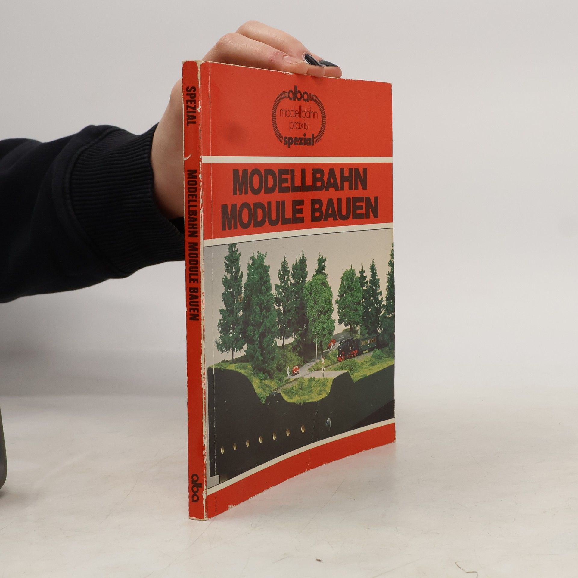 Burkhard Rieche Modellbahn-Module bauen