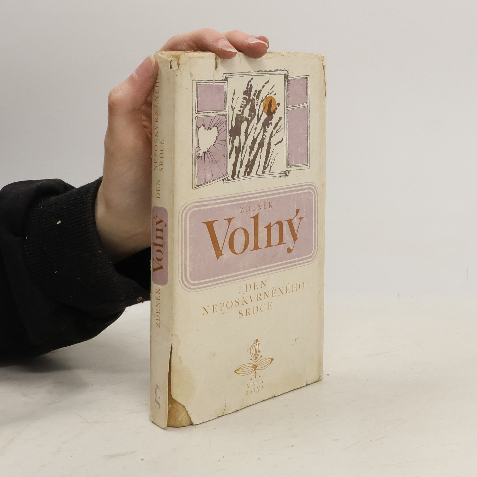 Zdeněk Volný Den neposkvrněného srdce