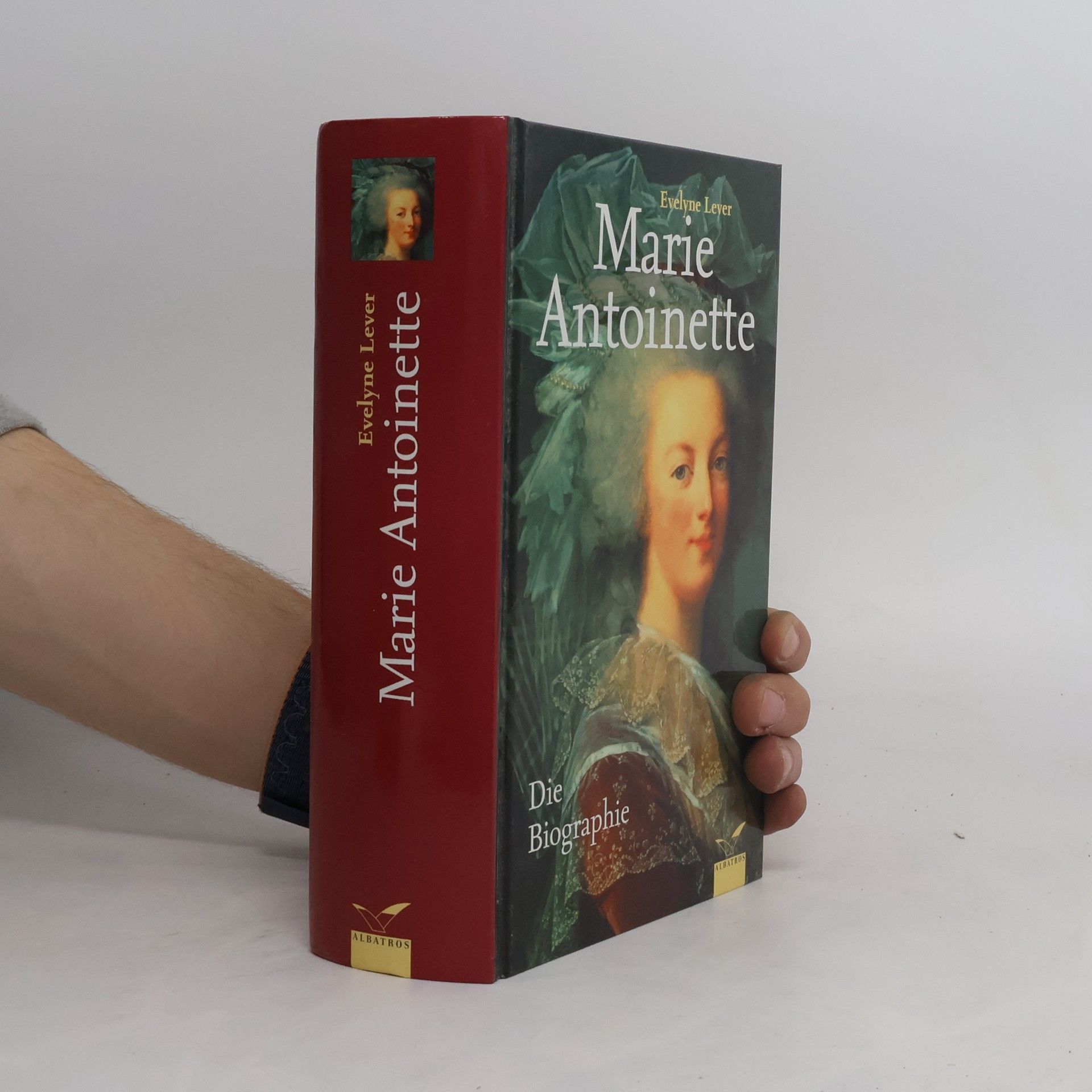 E. velyne Lever Marie Antoinette