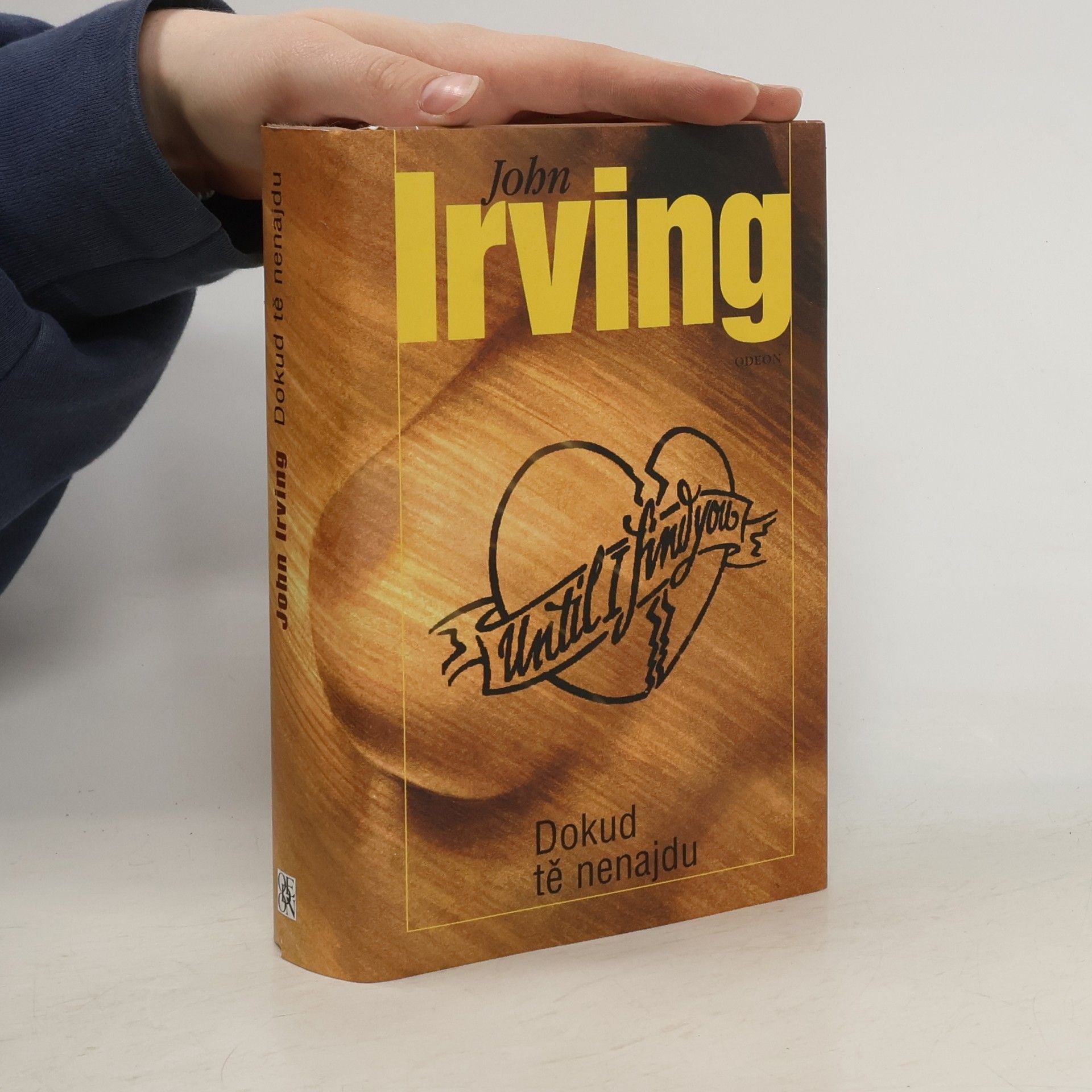 John Irving Dokud tě nenajdu