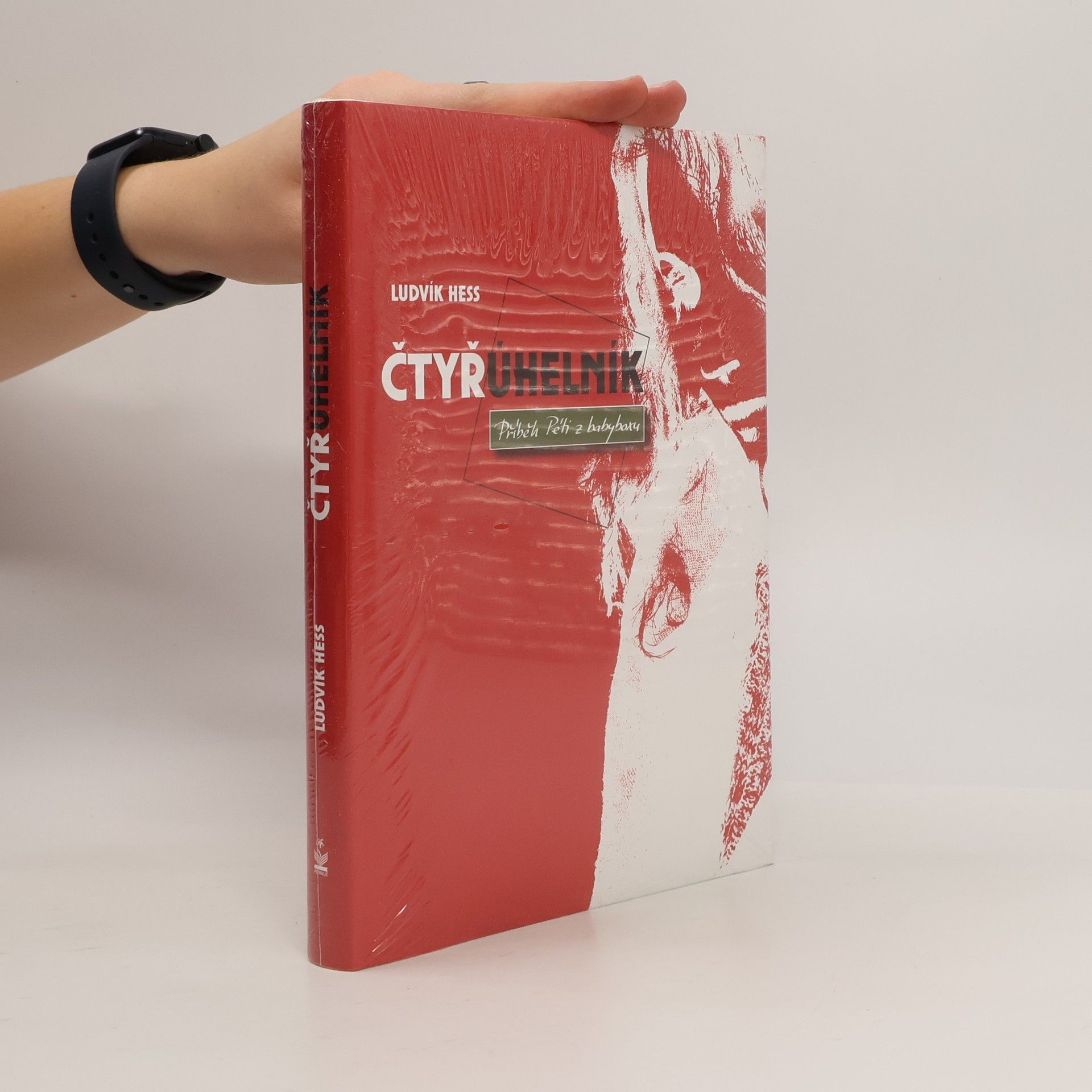 Ludvík Hess Čtyřúhelník. Příběh Péti z babyboxu