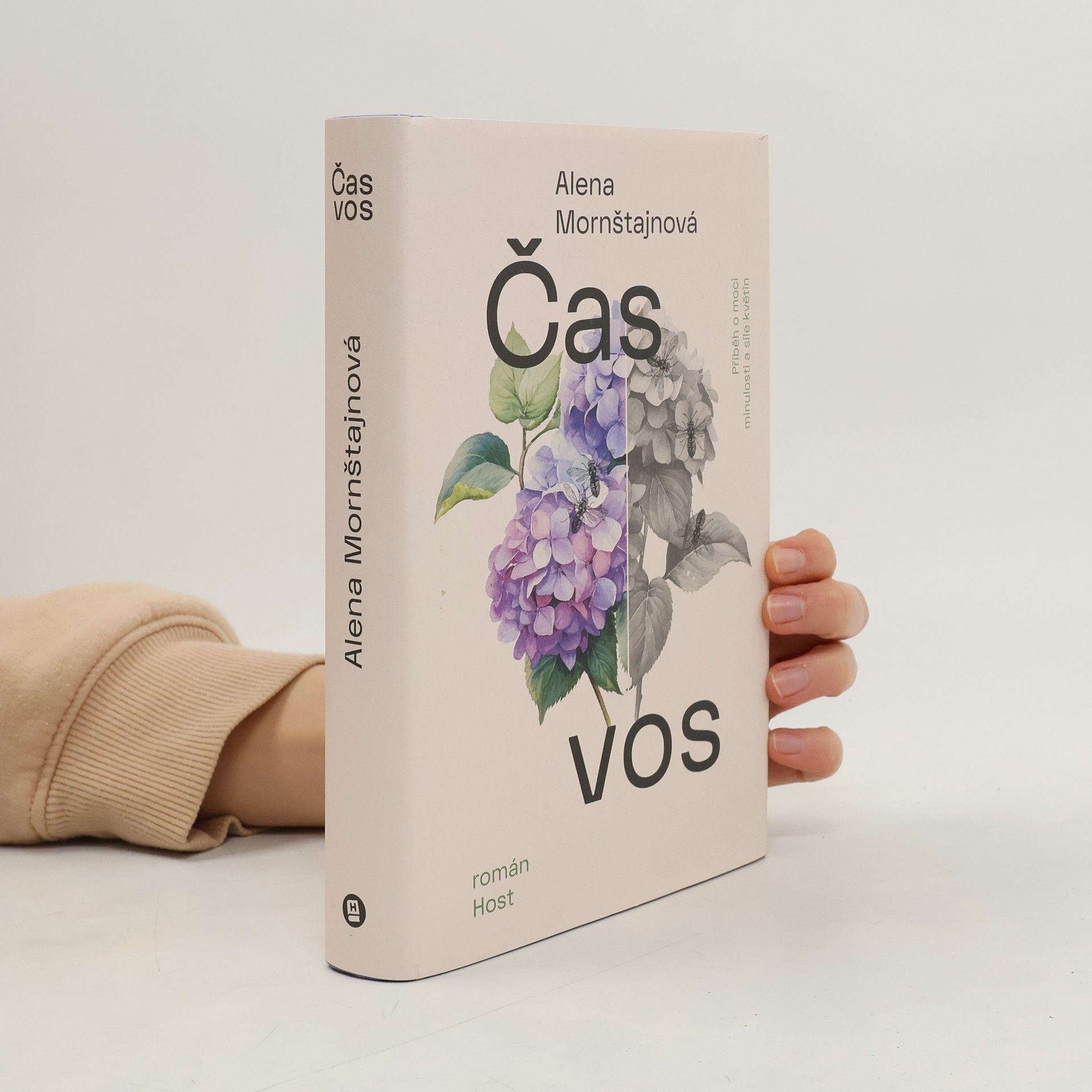 Alena Mornštajnová Čas vos