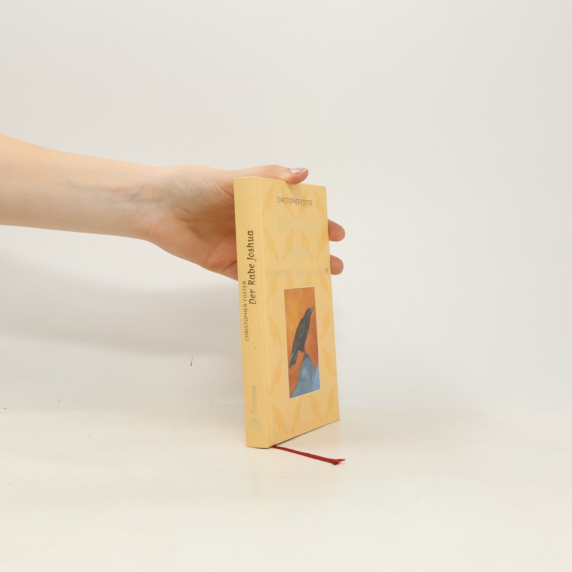 Christopher Foster Der Rabe Joshua