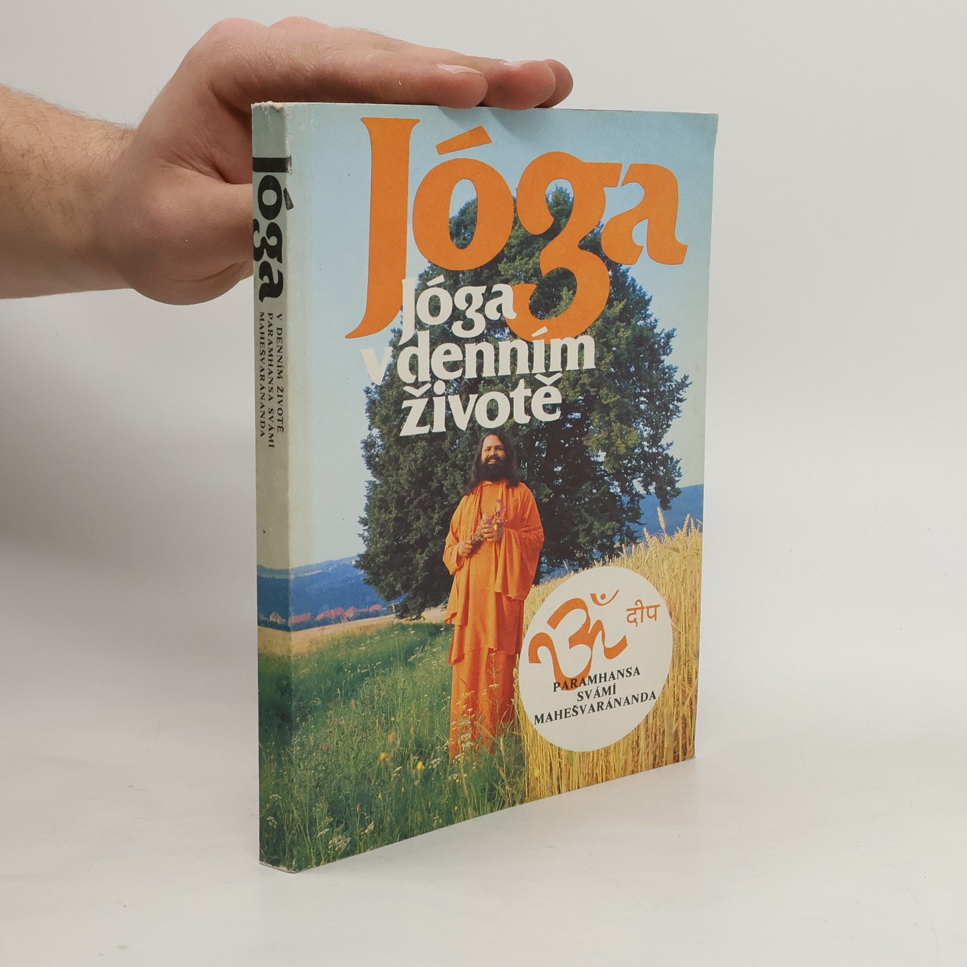 Swami Maheshwarananda Jóga v denním životě