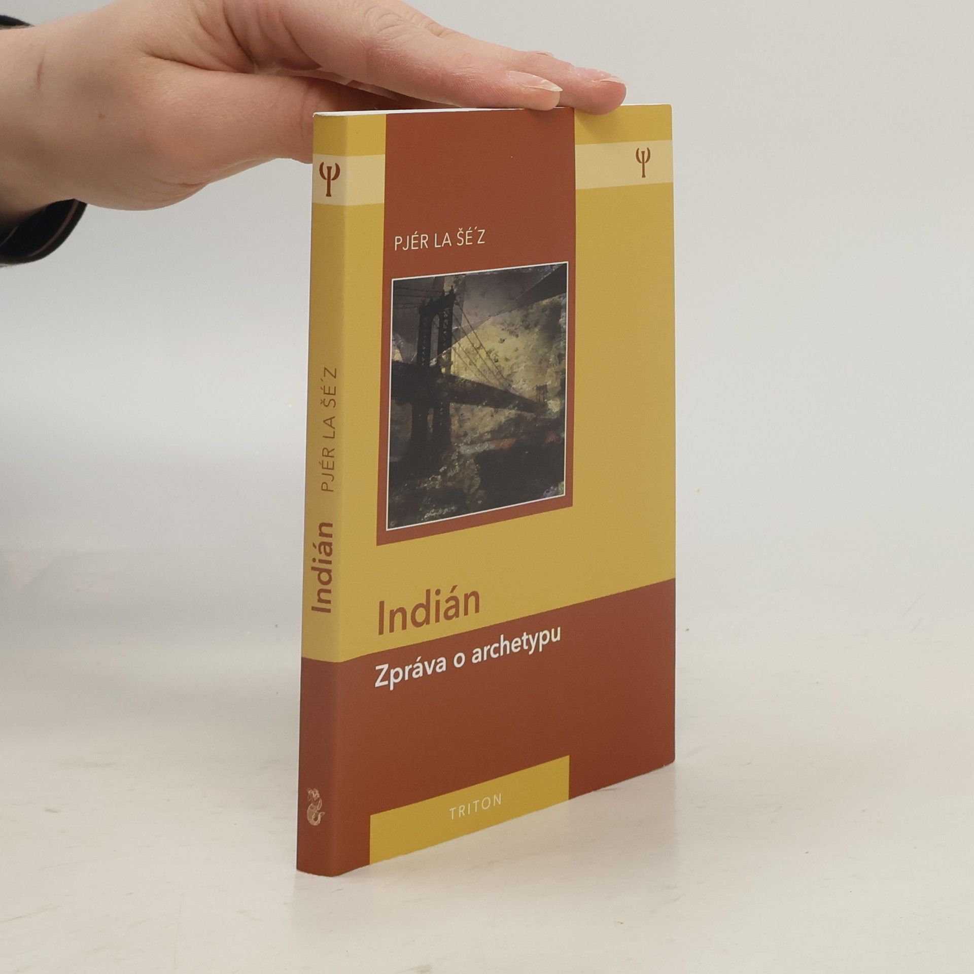 Pjér la Šéz Indián: Zpráva o archetypu