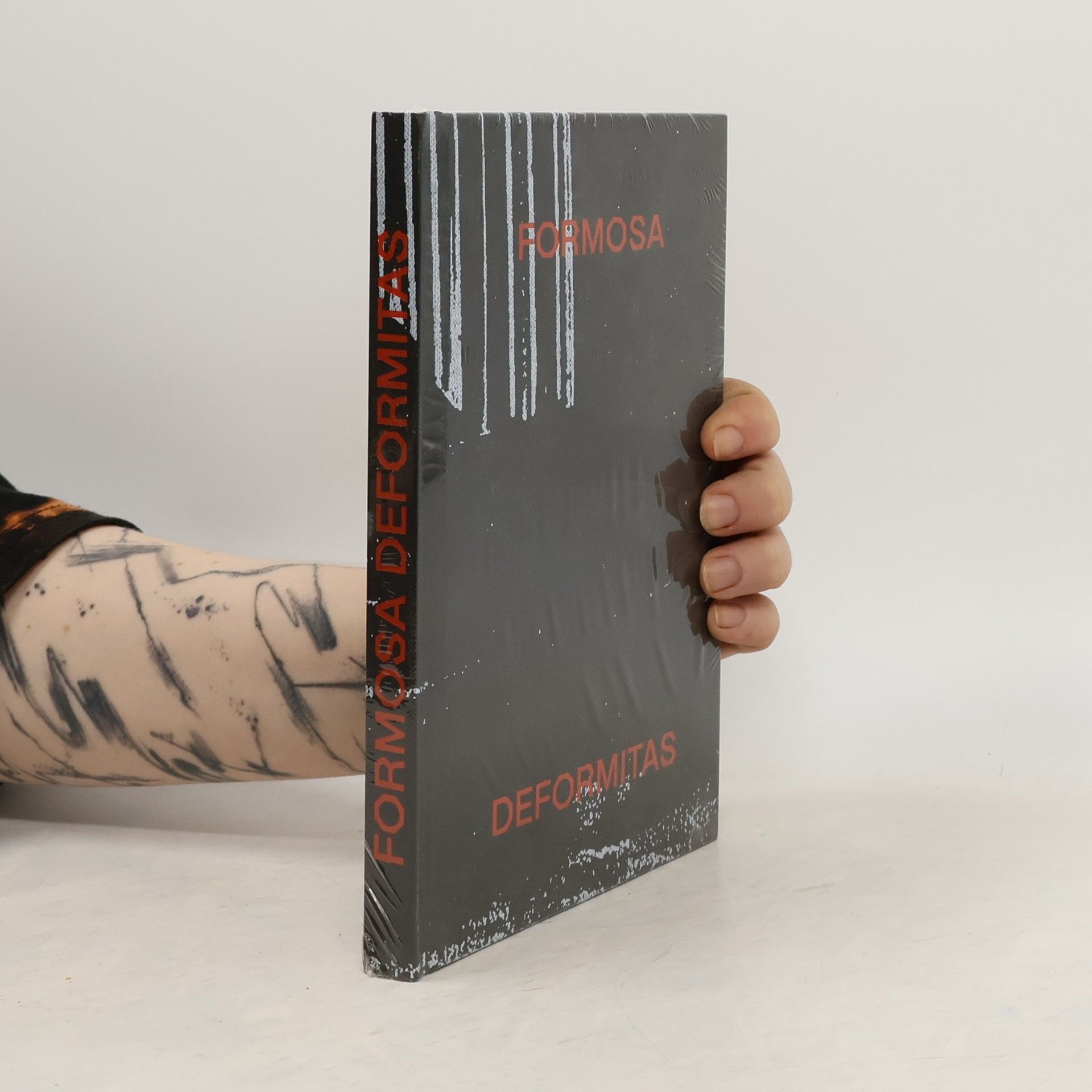 Formosa deformitas. O podivné spřízněnosti baroka a kubismu 1911-1914