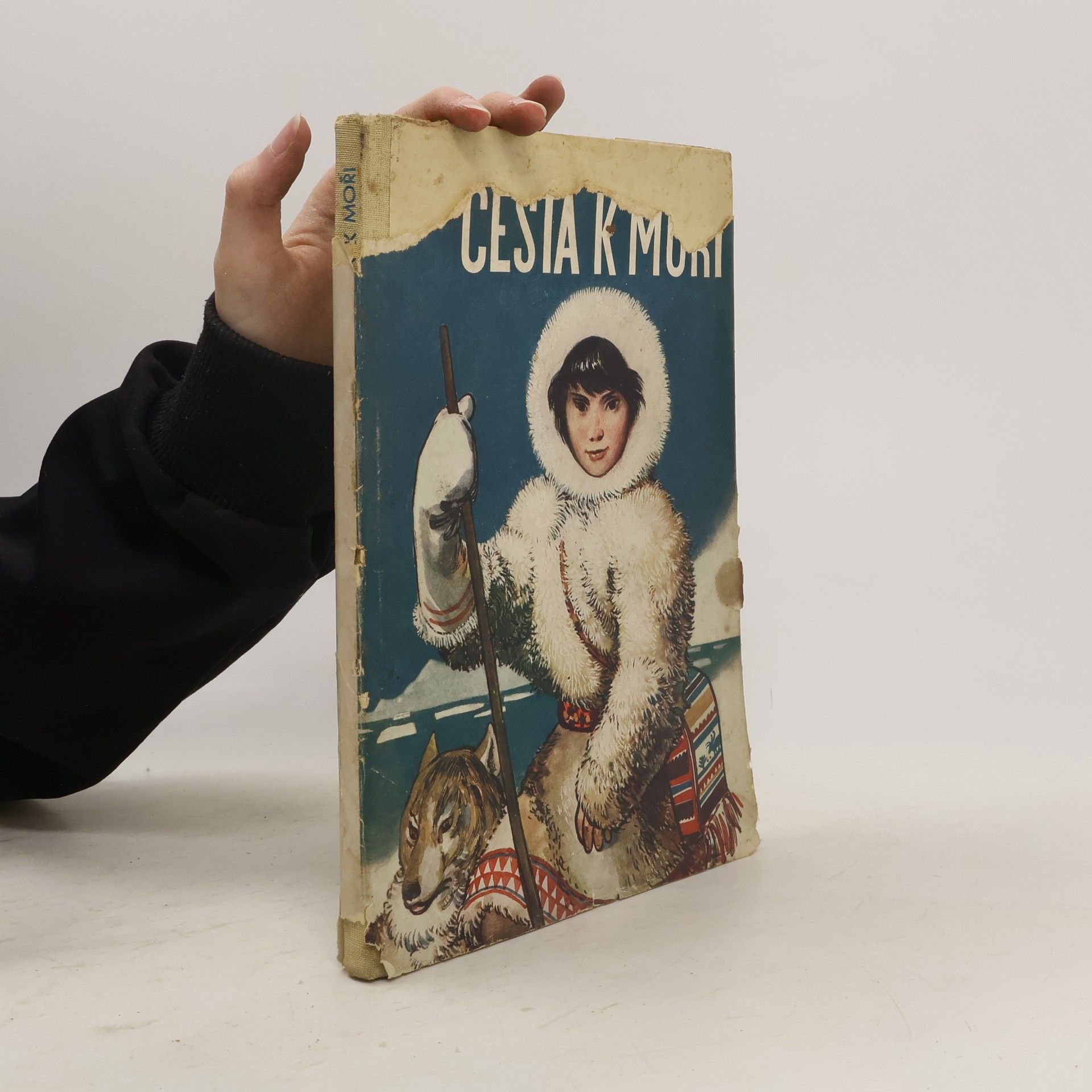 Kratt I. Cesta k moři