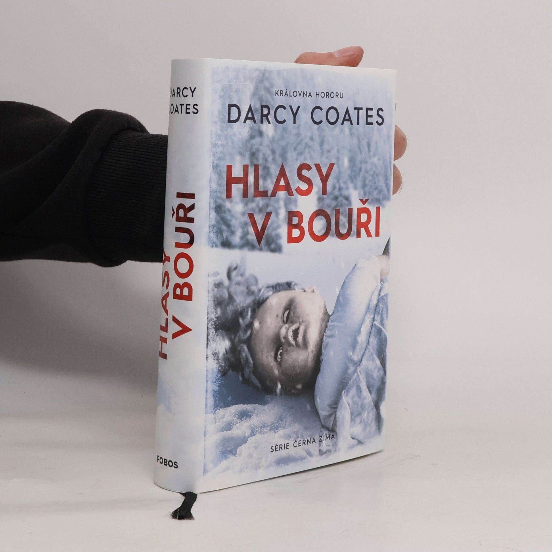 Darcy Coates Hlasy v bouři
