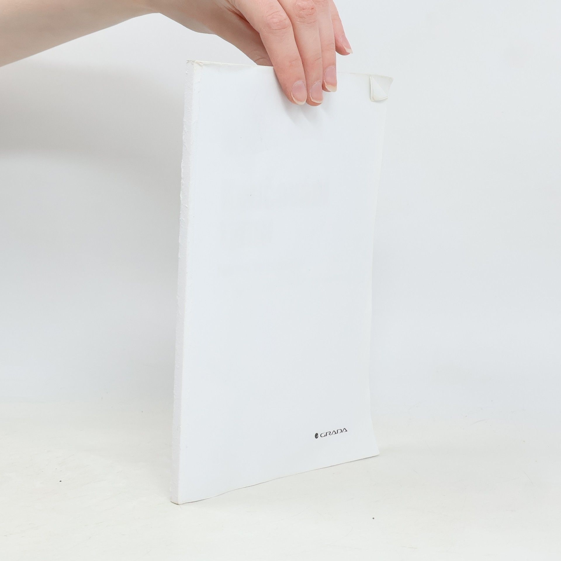 AA.VV. Koučování týmu. Jak my to vedeme