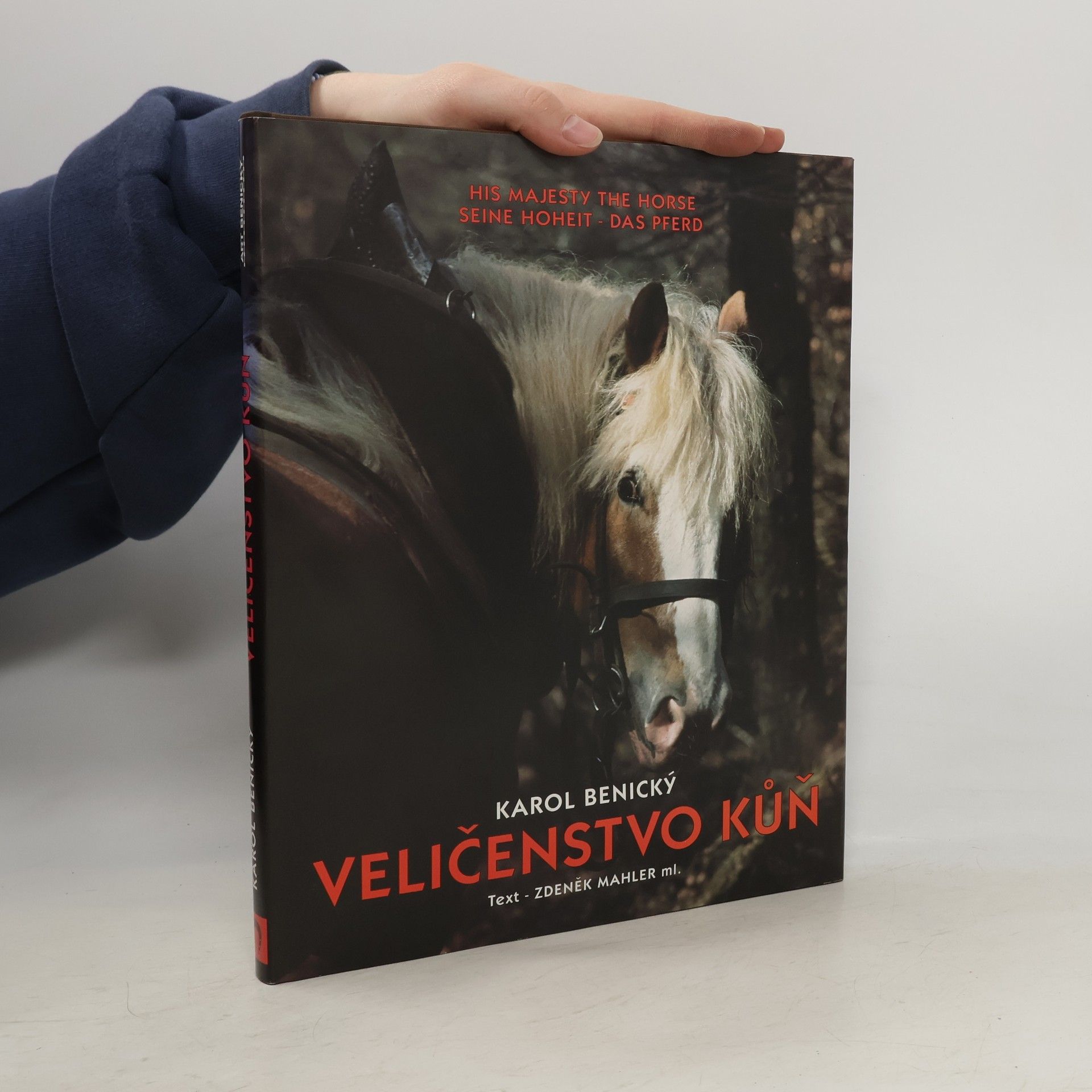 Karol Benický Veličenstvo kůň