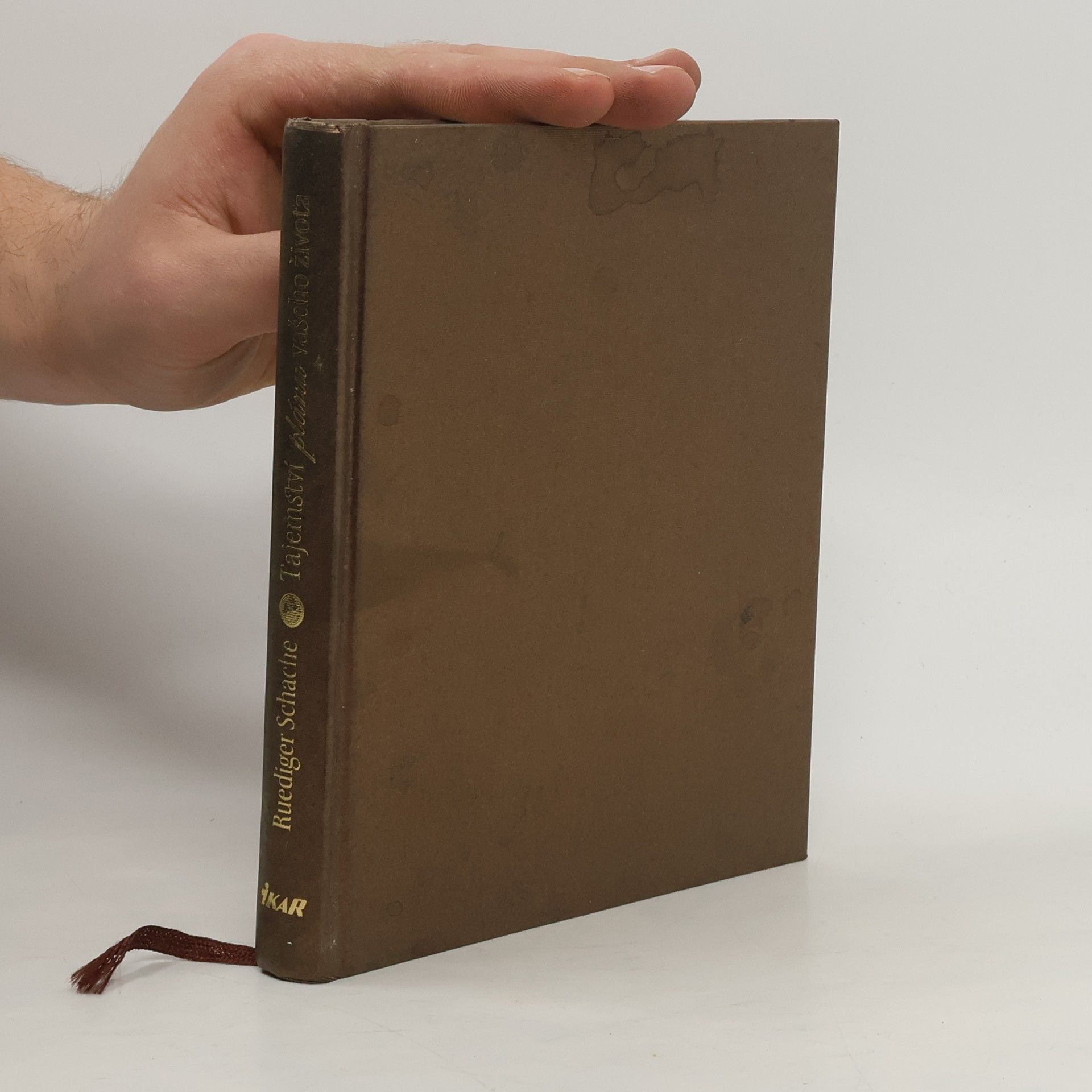 Ruediger Schache Tajemství plánu vašeho života