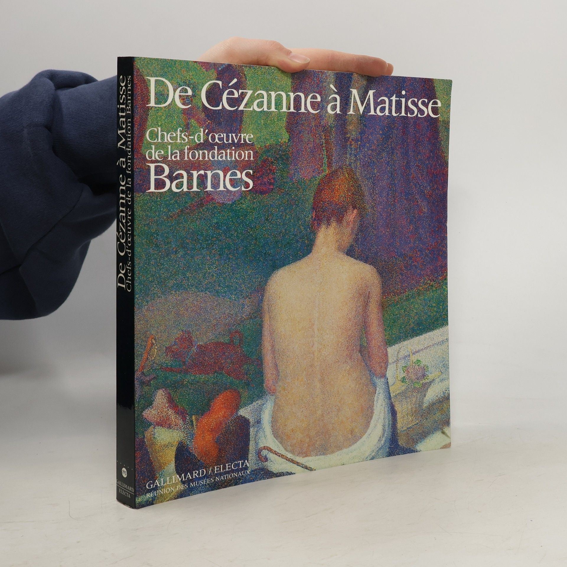 Collectif d'auteurs De Cézanne à Matisse Chefs-d'œuvre de la fondation Barnes