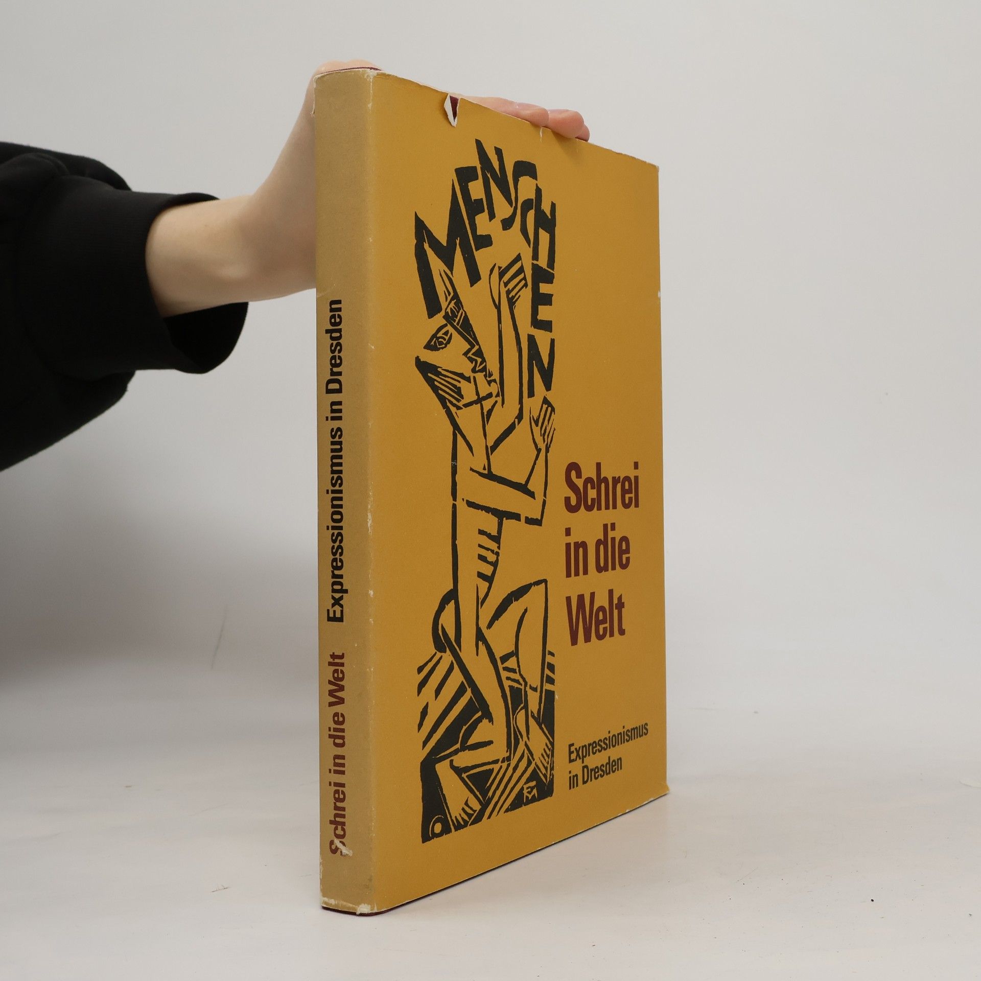 Peter Ludewig Schrei in die Welt