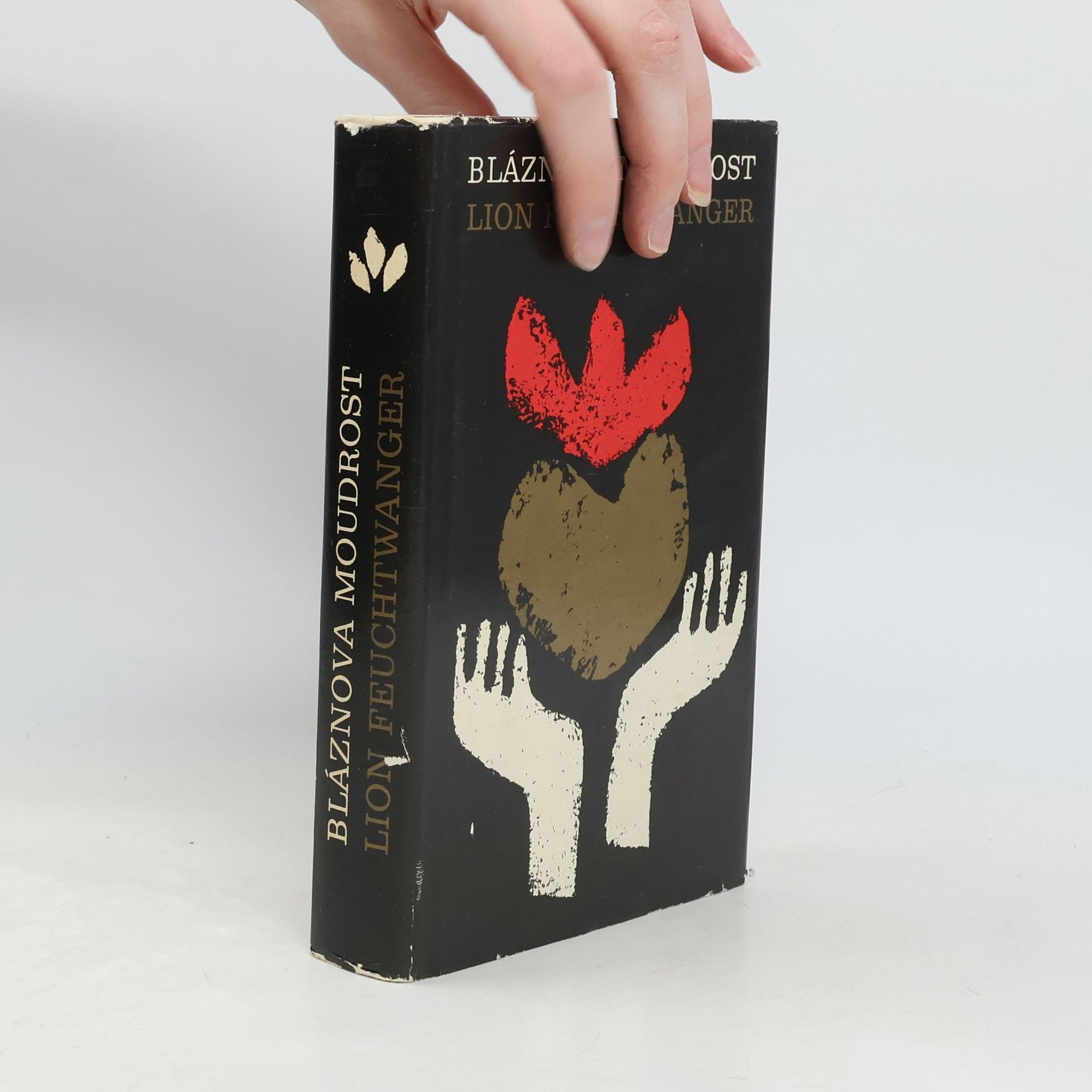 Lion Feuchtwanger Bláznova moudrost