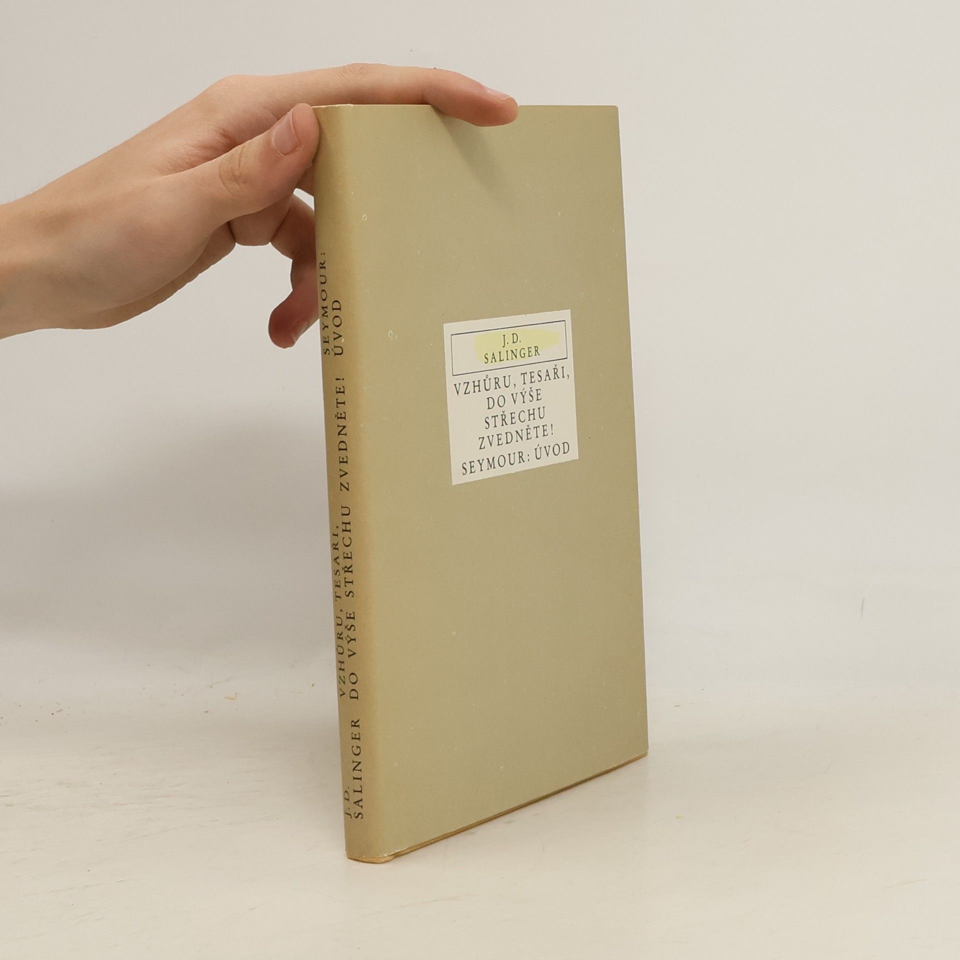 J. D. Salinger Vzhůru, tesaři, do výše střechu zvedněte! Úvod