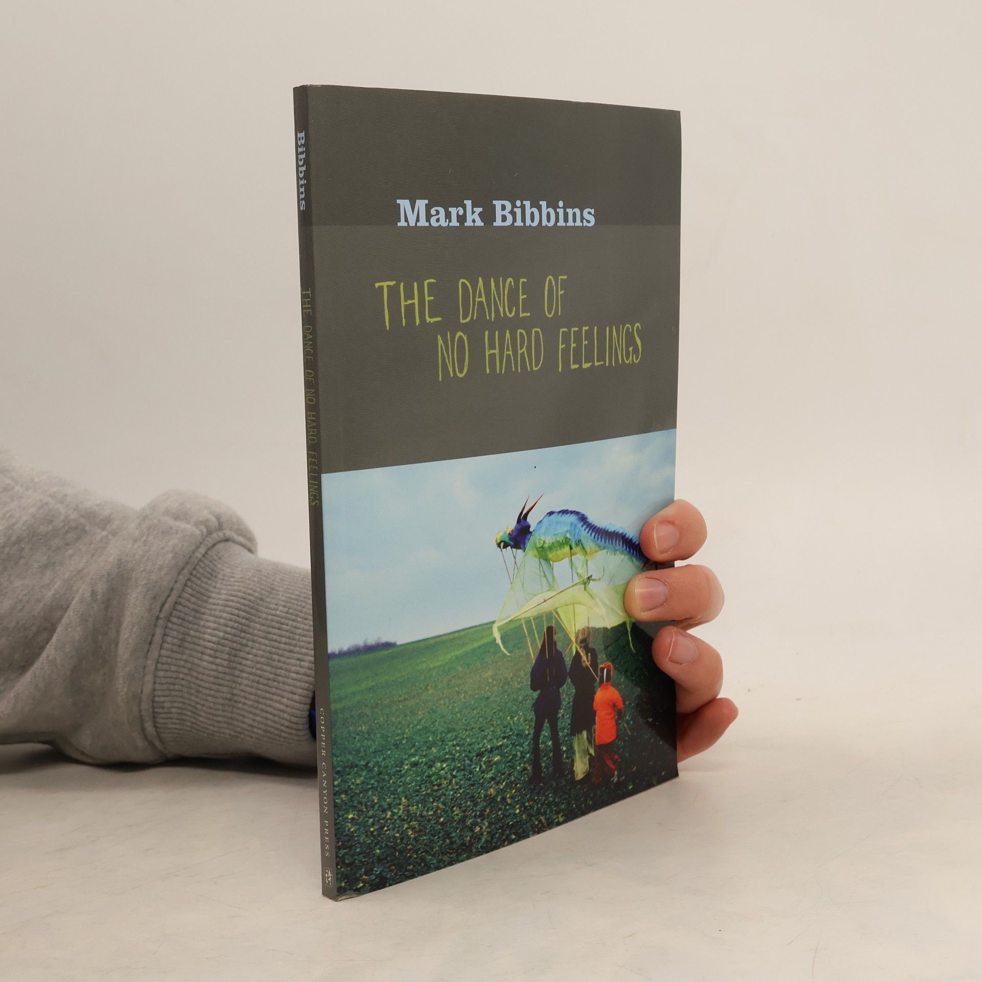 Mark Bibbins The Dance of No Hard Feelings