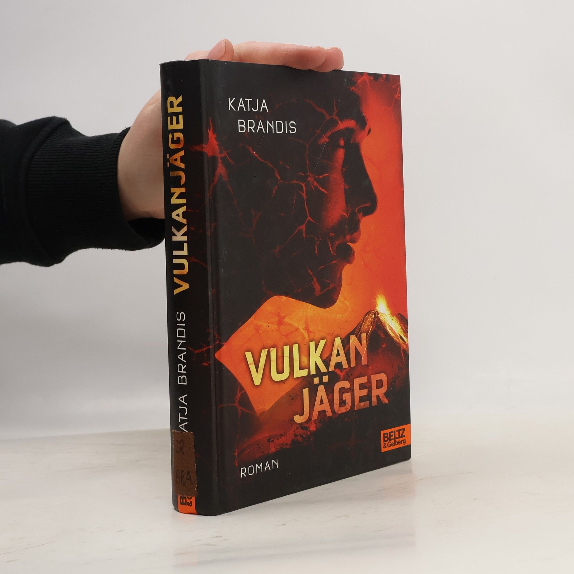 Katja Brandis Vulkanjäger