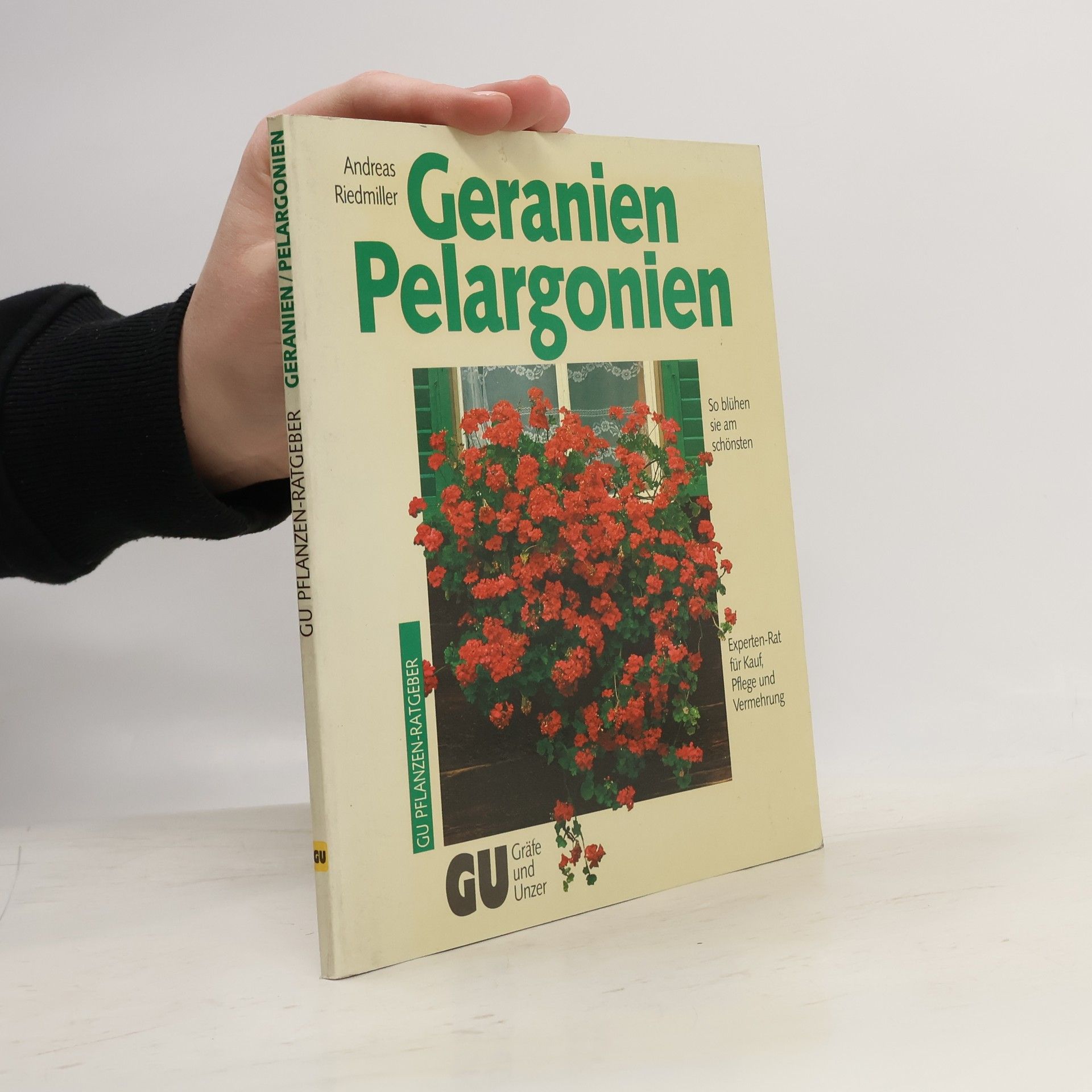 Andreas Riedmiller Geranien Pelargonien
