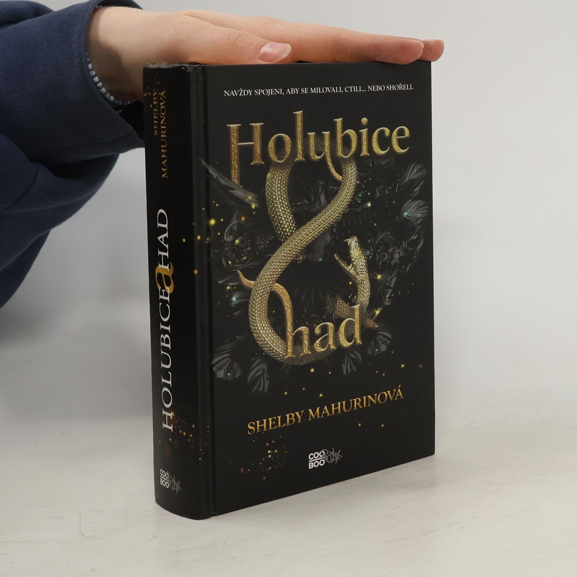 Shelby Mahurin Holubice a had