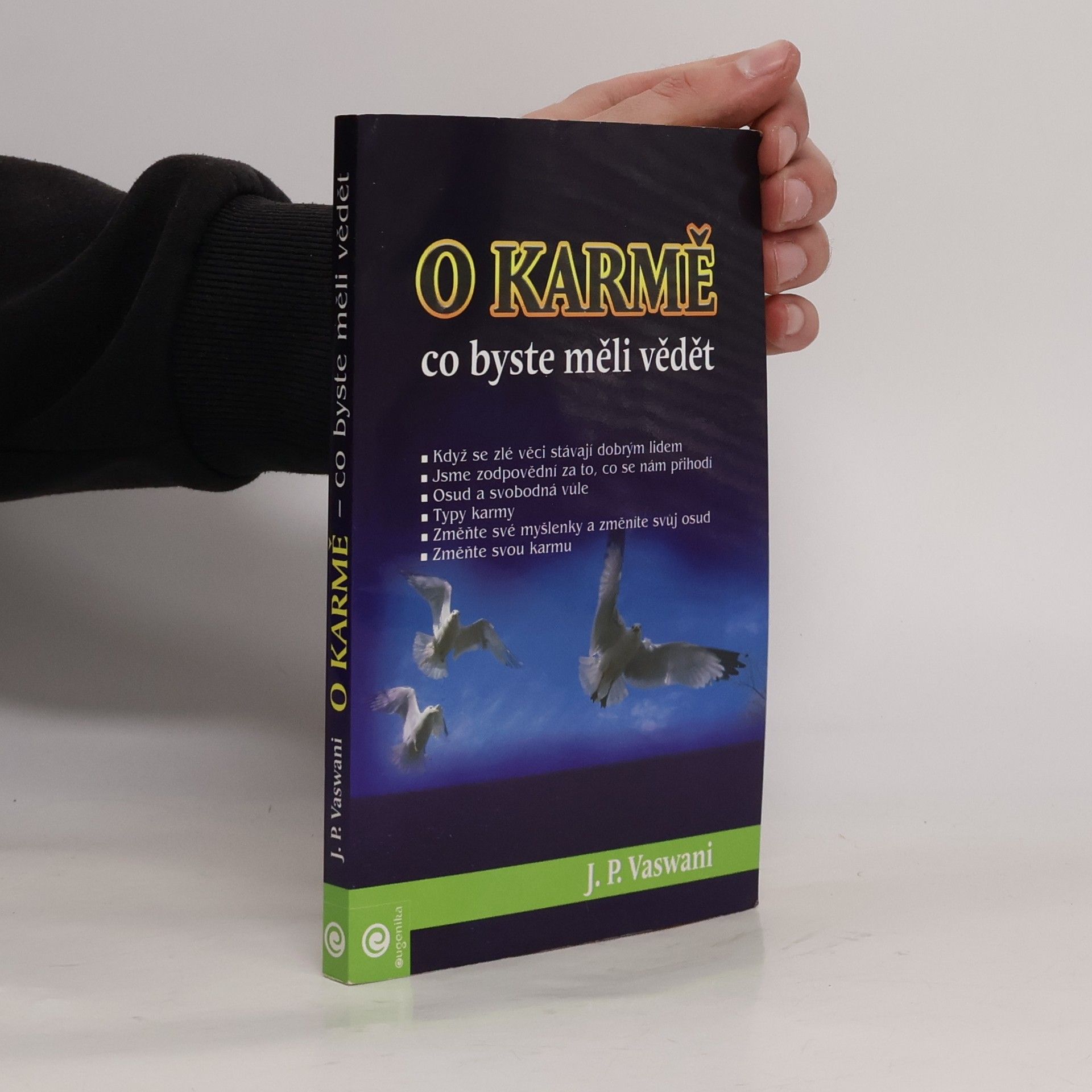 Dada J. P. Vaswani O karmě. Co byste měli vědět