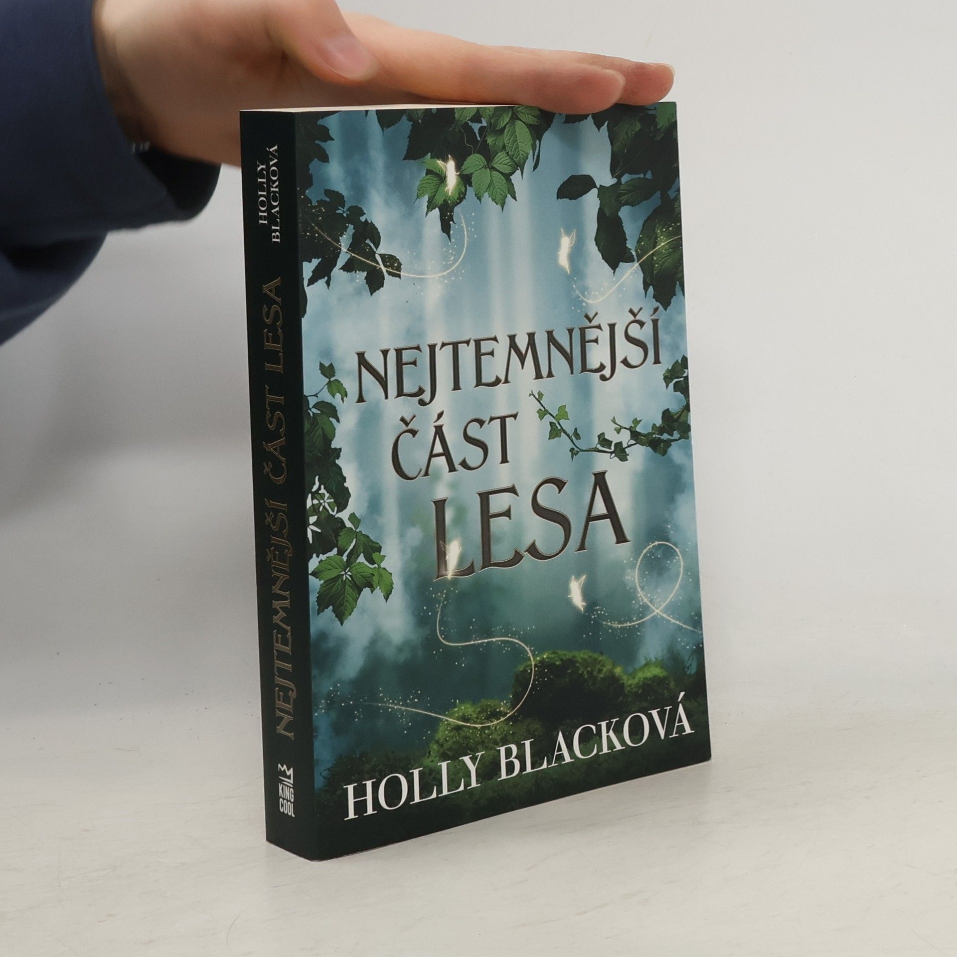 Holly Black Nejtemnější část lesa