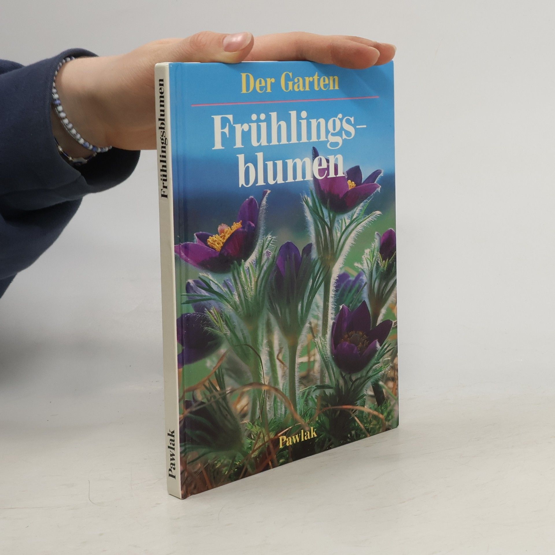 Ute York Frühlingsblumen