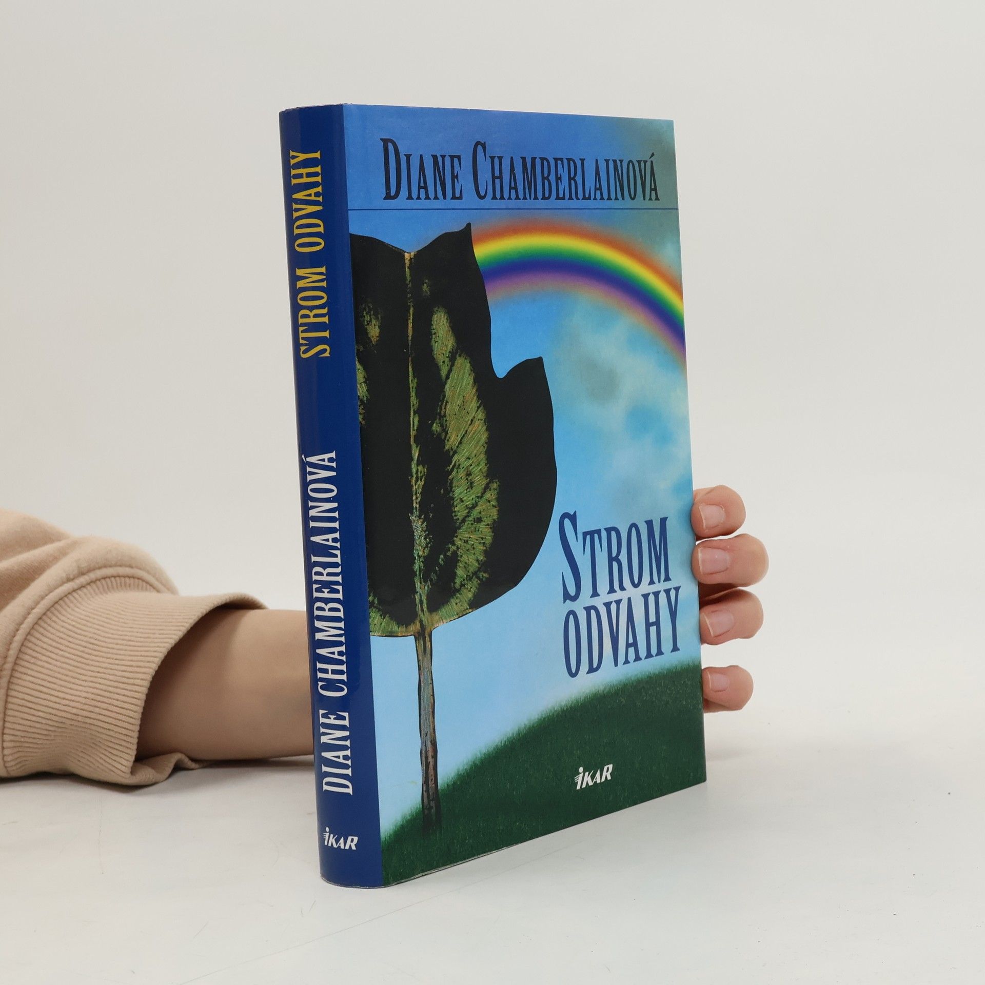 Diane Chamberlain Strom odvahy