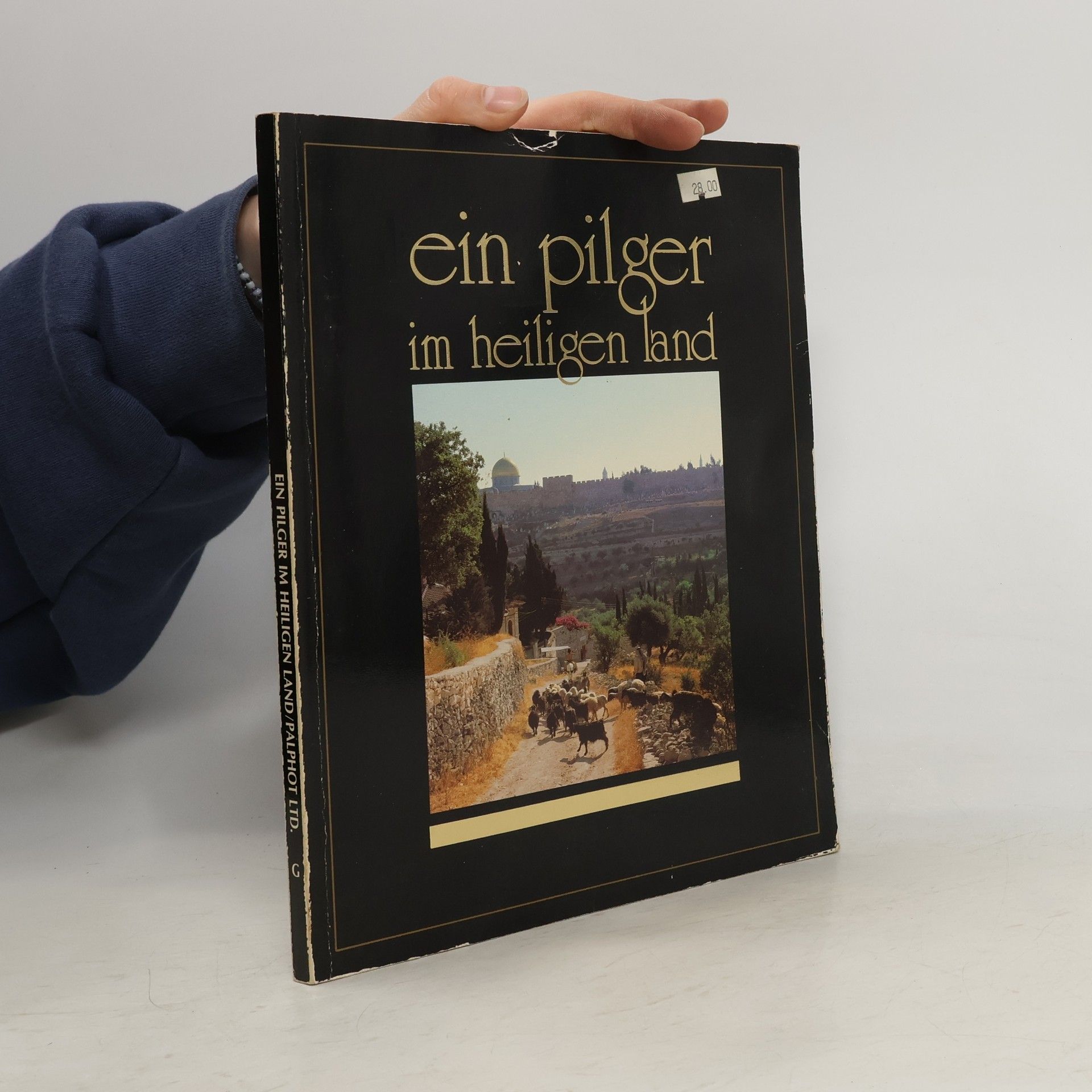 Autorenkollektiv Ein Pilger im Heiligen Land