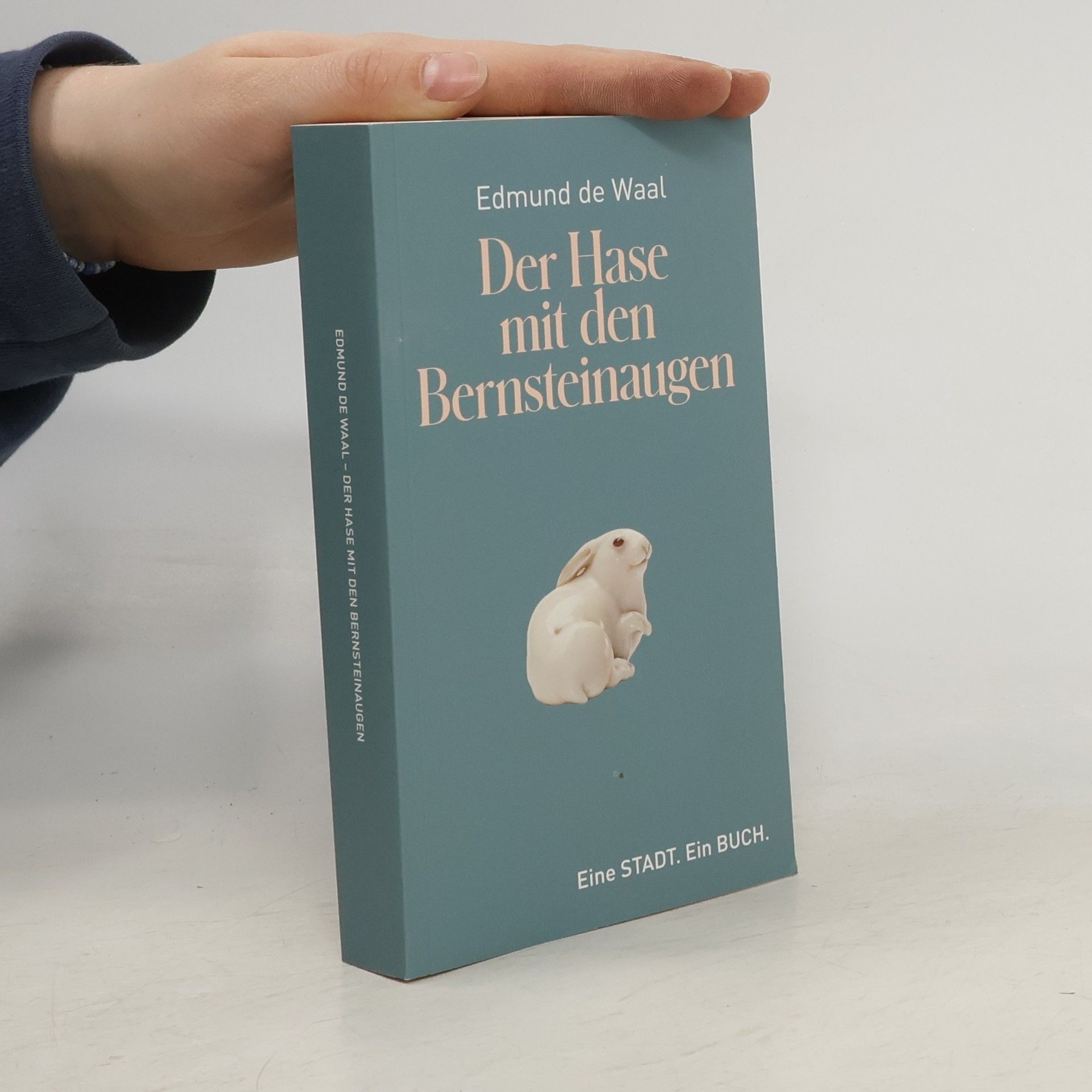 Edmund De Waal Der Hase mit den Bernsteinaugen