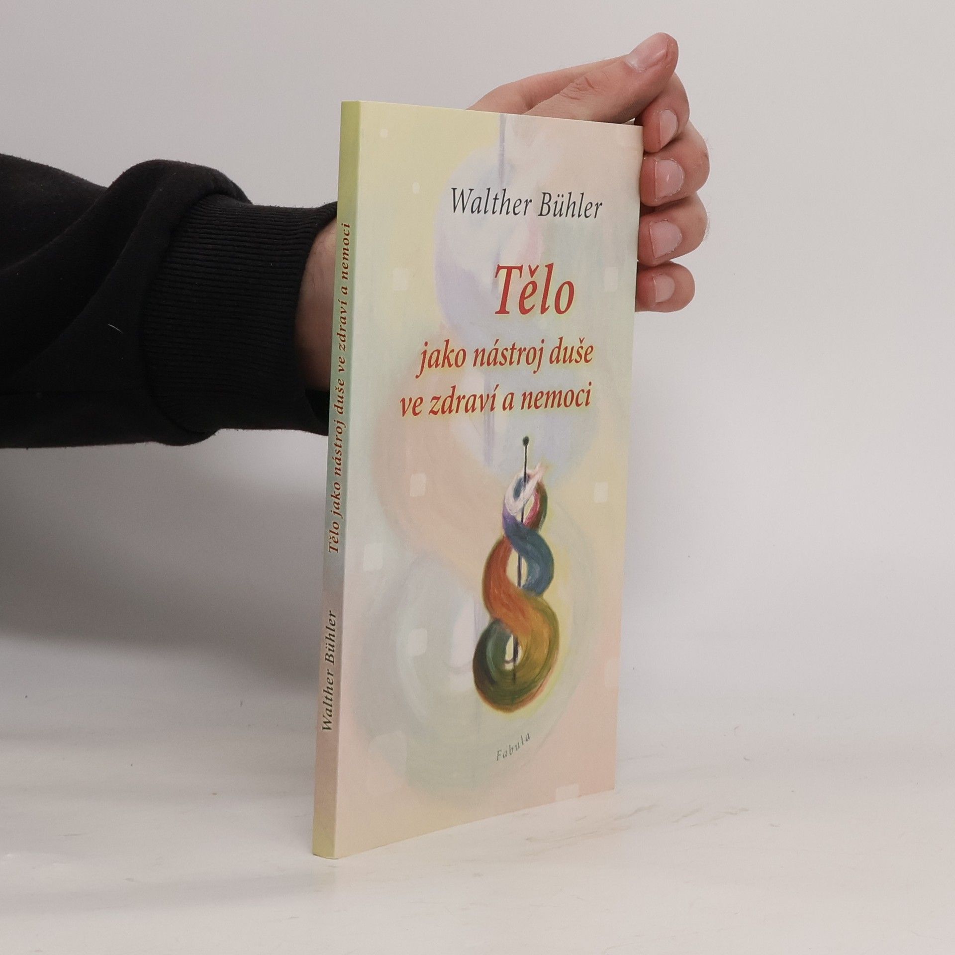 Walther Bühler Tělo jako nástroj duše ve zdraví a nemoci