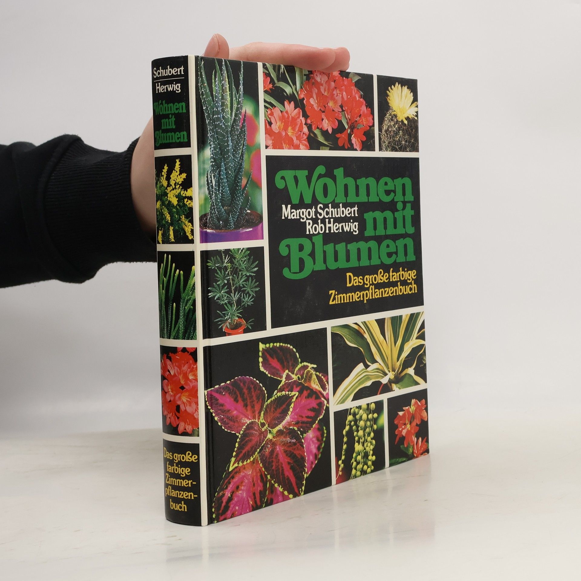 Margot Schubert Wohnen mit Blumen