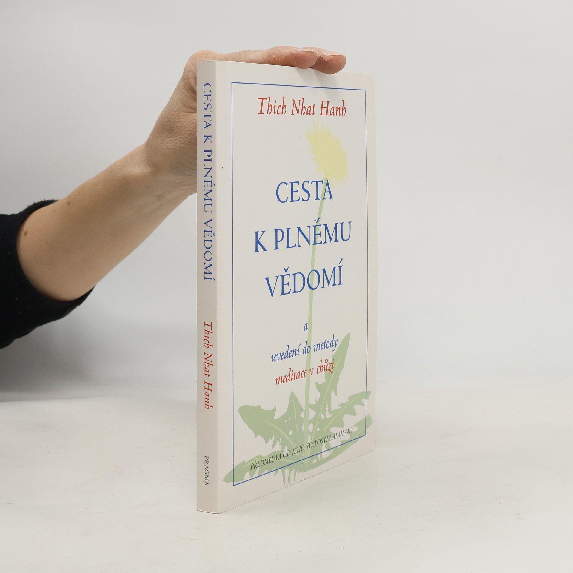 Otto Jeřábek Cesta k plnému vědomí a uvedení do metody meditace v chůzi