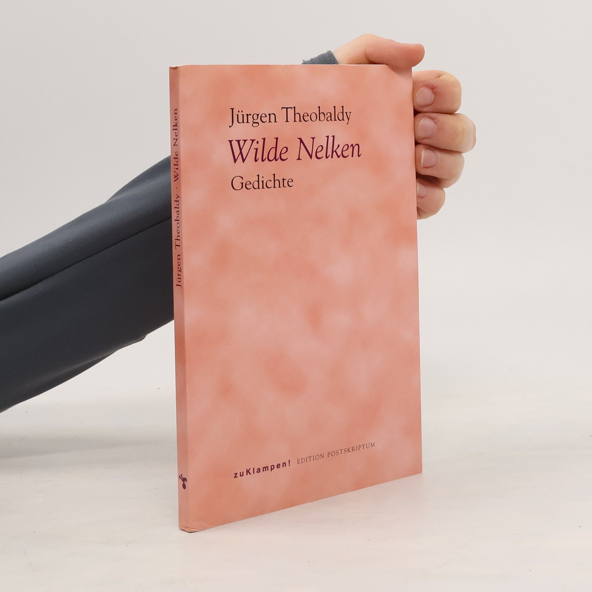 Jürgen Theobaldy Wilde Nelken