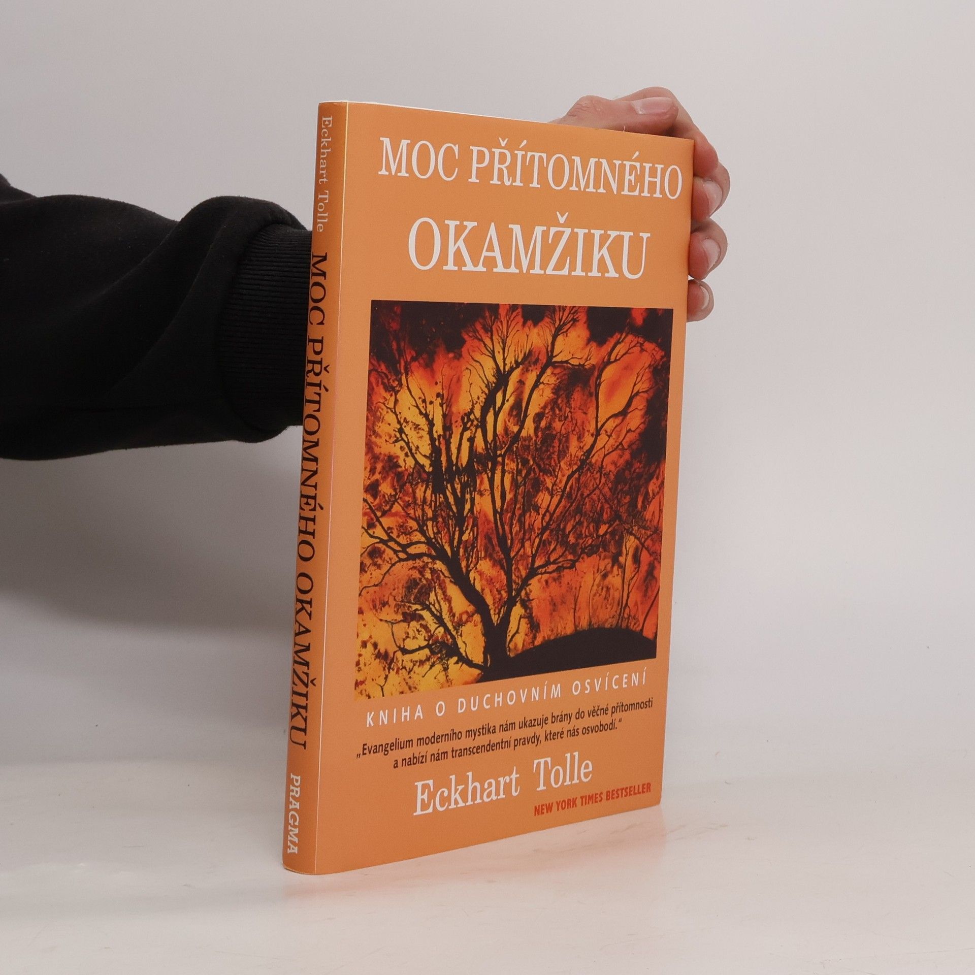 Eckhart Tolle Moc přítomného okamžiku