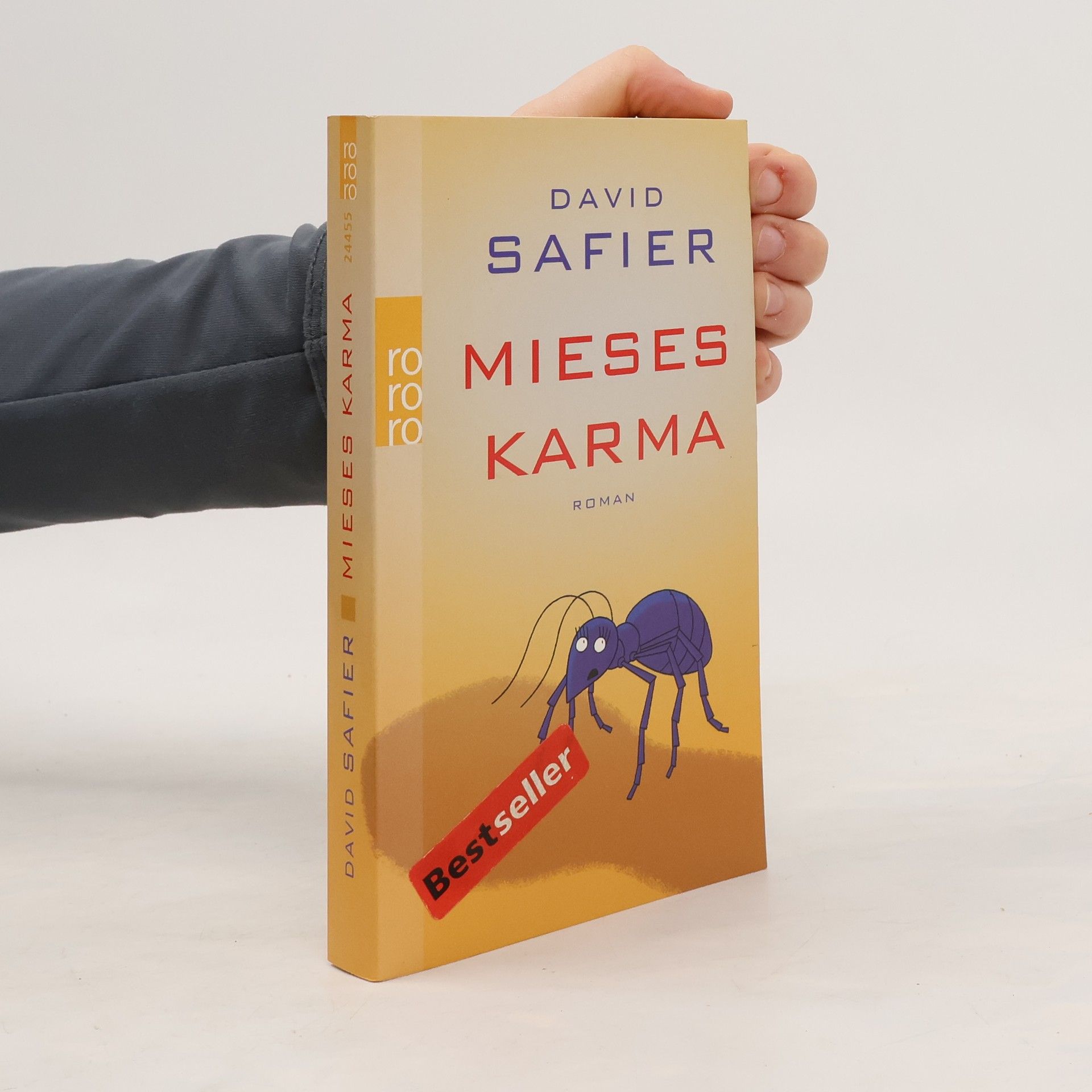 David Safier Mieses Karma