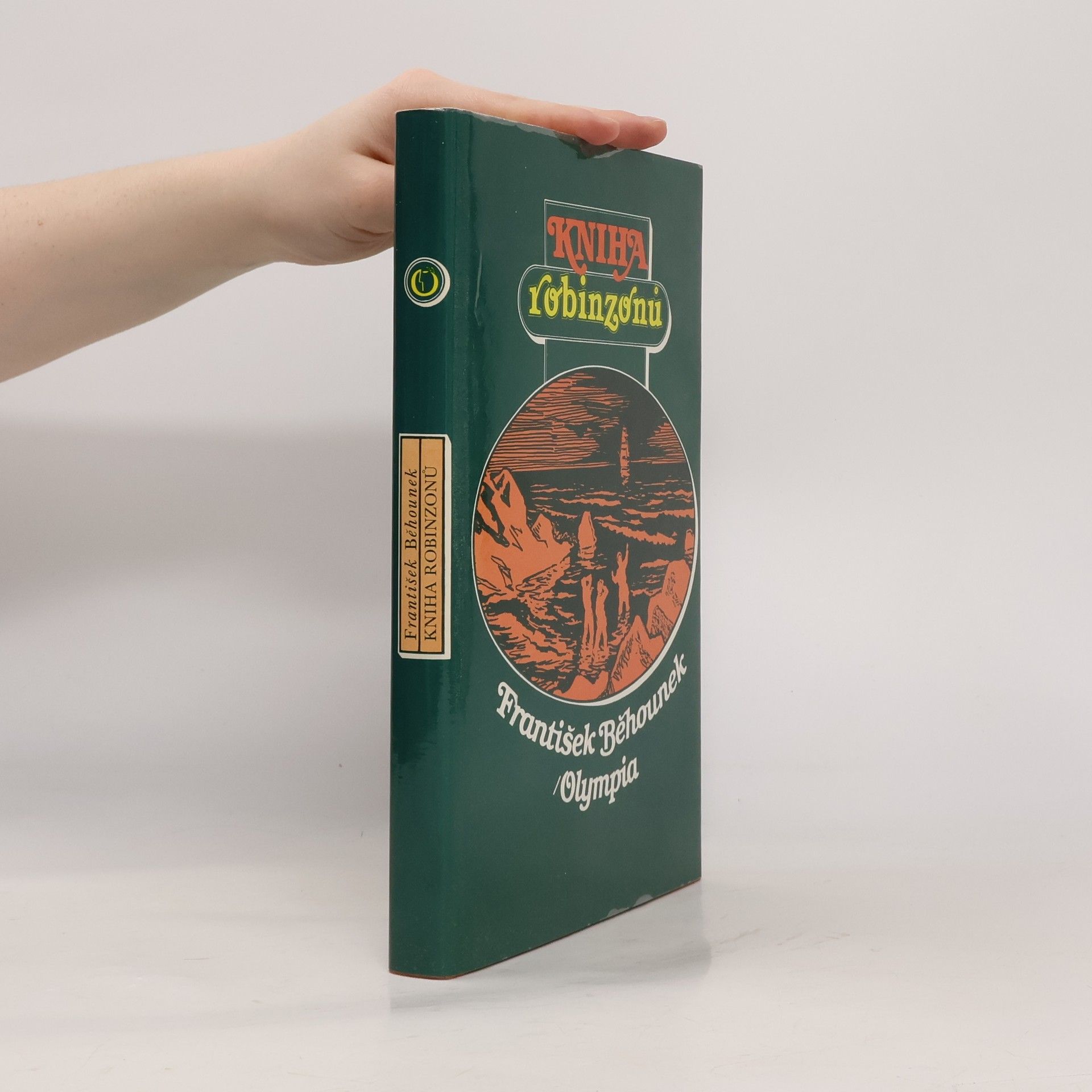 Kniha robinzonů