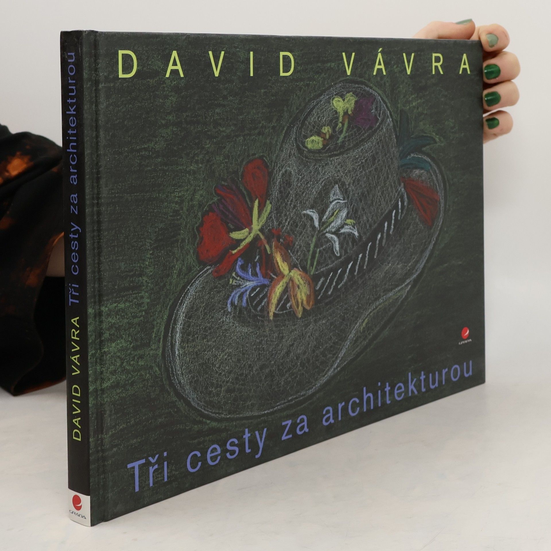 David Vávra Tři cesty za architekturou