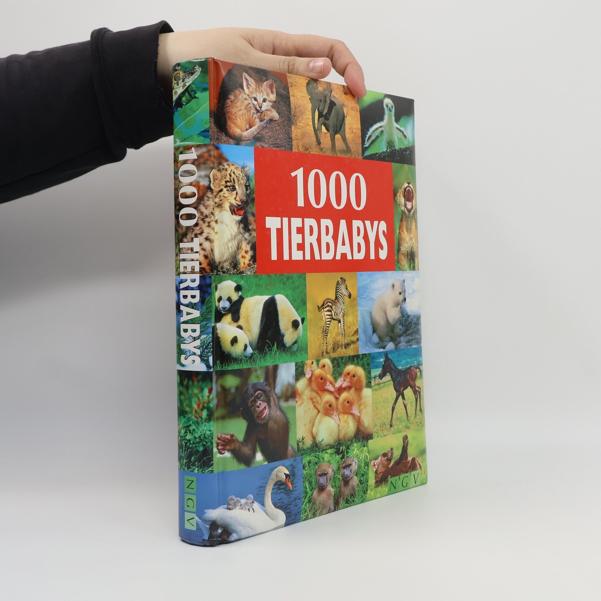 Ulrike Schöber 1000 Tierbabys