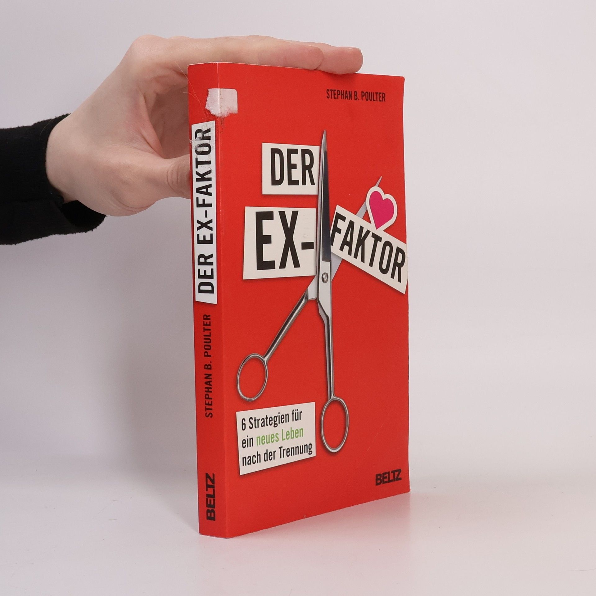 Stephan B. Poulter Der Ex-Faktor