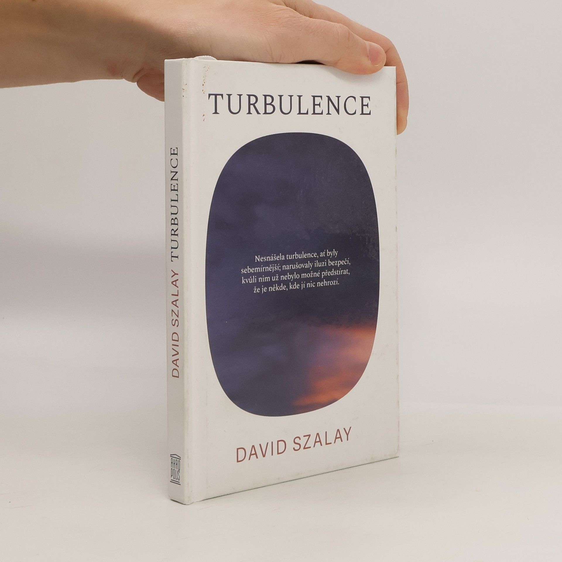 David Szalay Turbulence