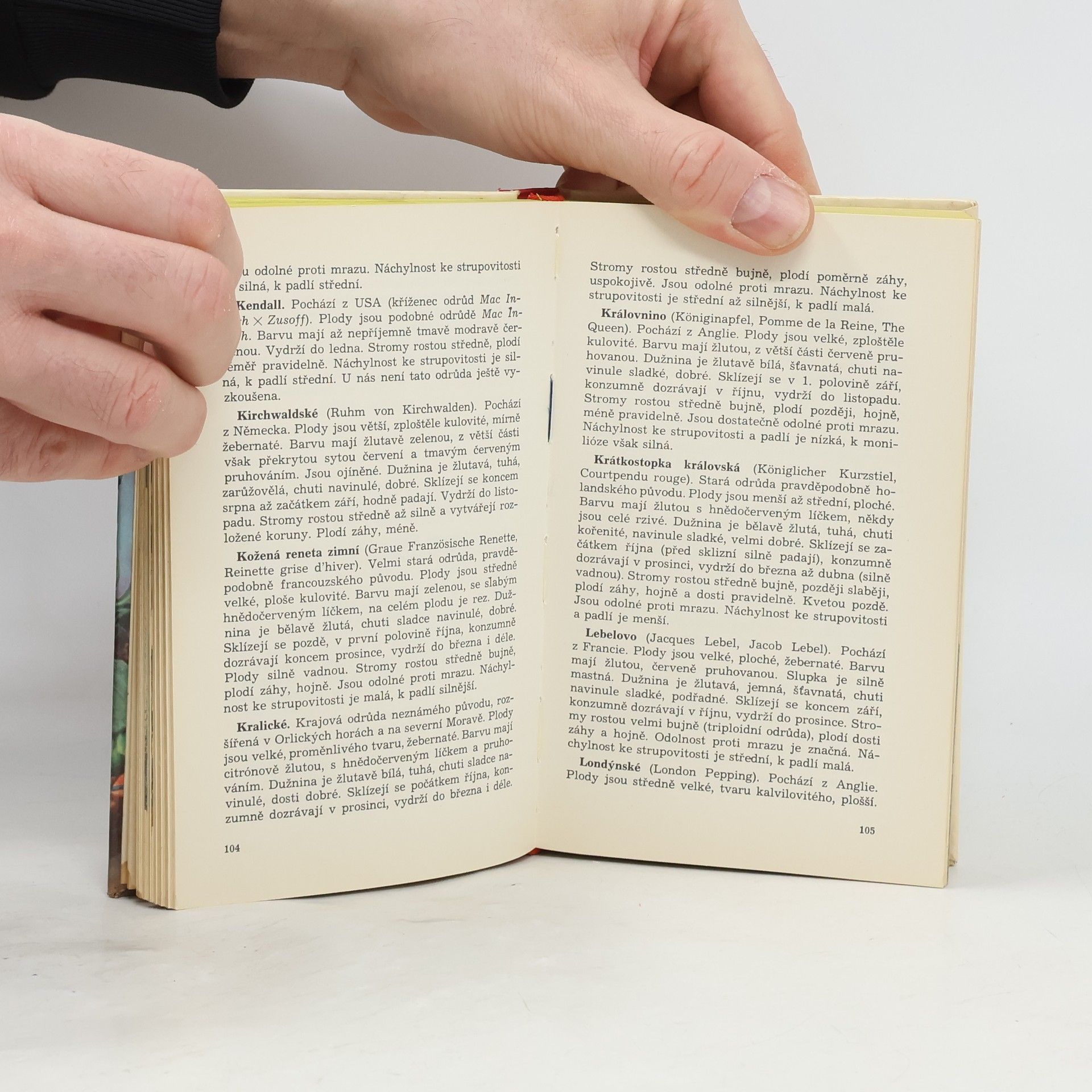 Autorenkollektiv Malá pomologie 1. Jablka
