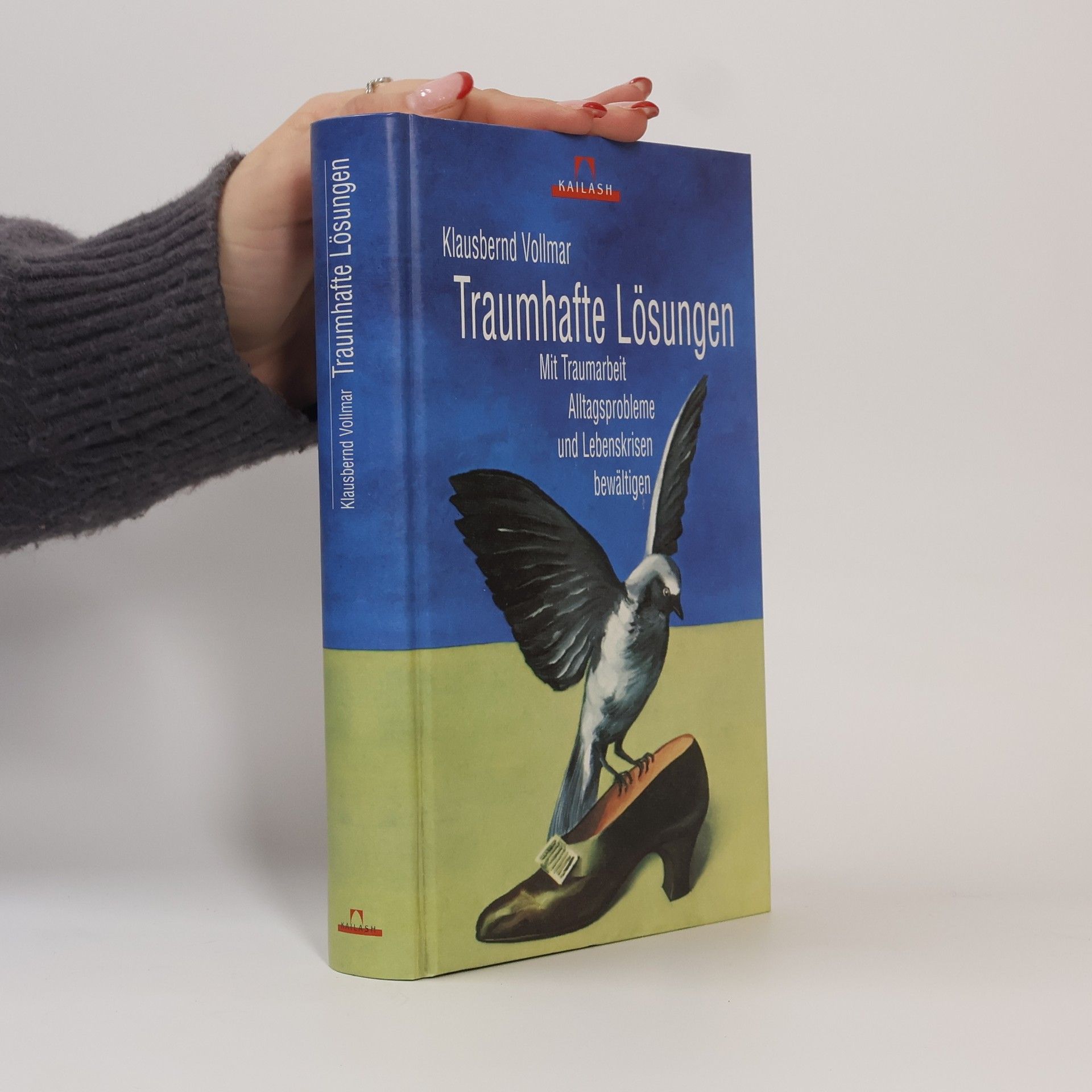 Klausbernd Vollmar Traumhafte Lösungen