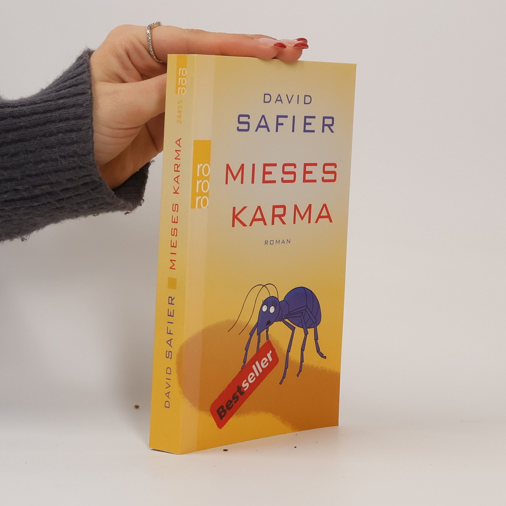 David Safier Mieses Karma