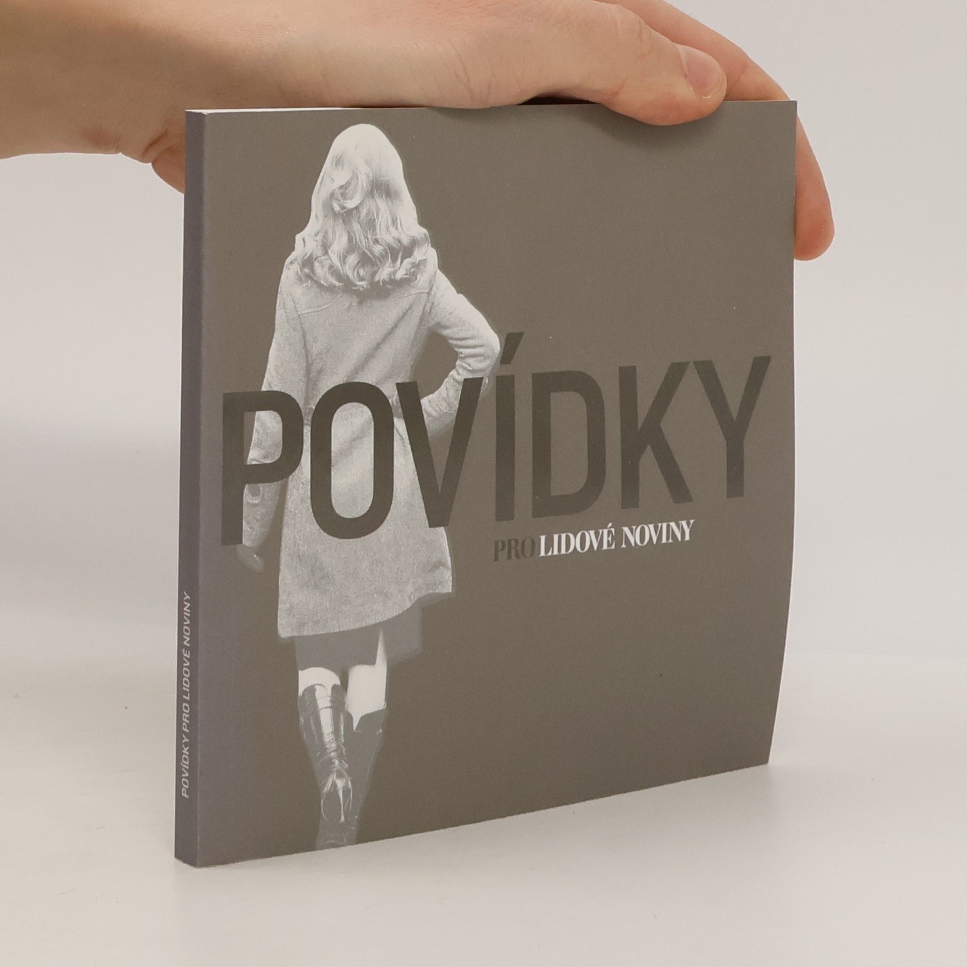 Autorenkollektiv Povídky pro Lidové noviny