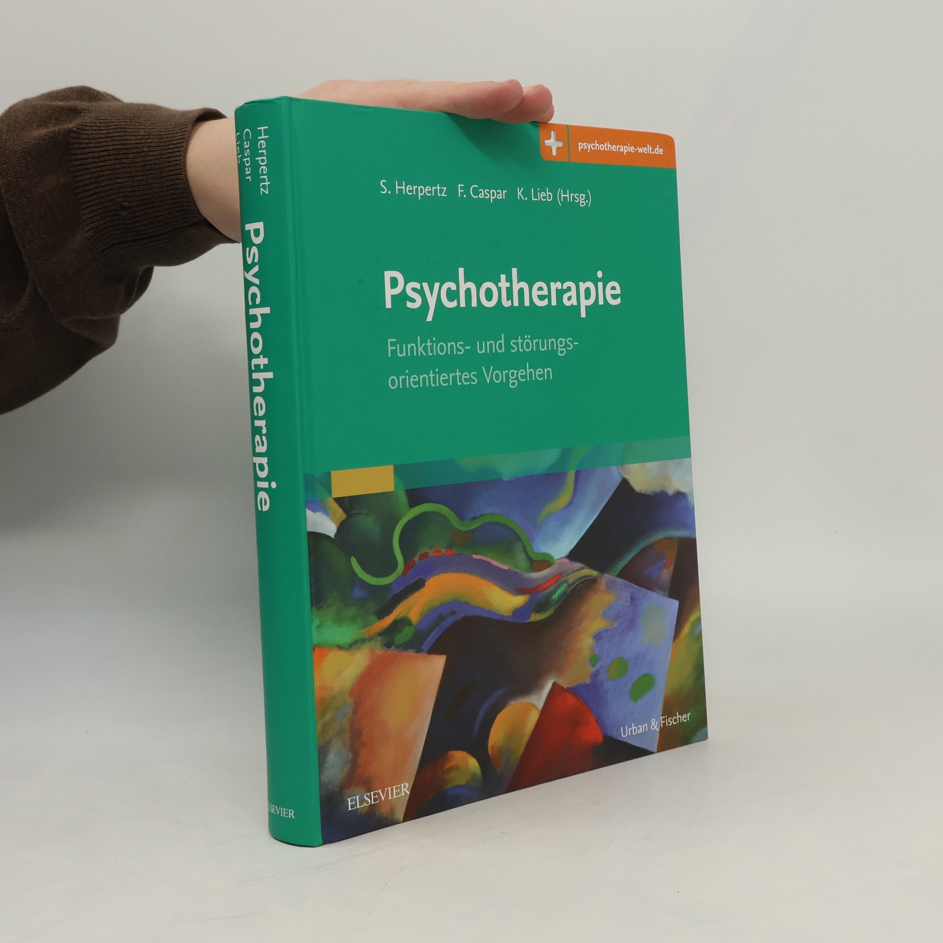 Sabine Herpertz Psychotherapie